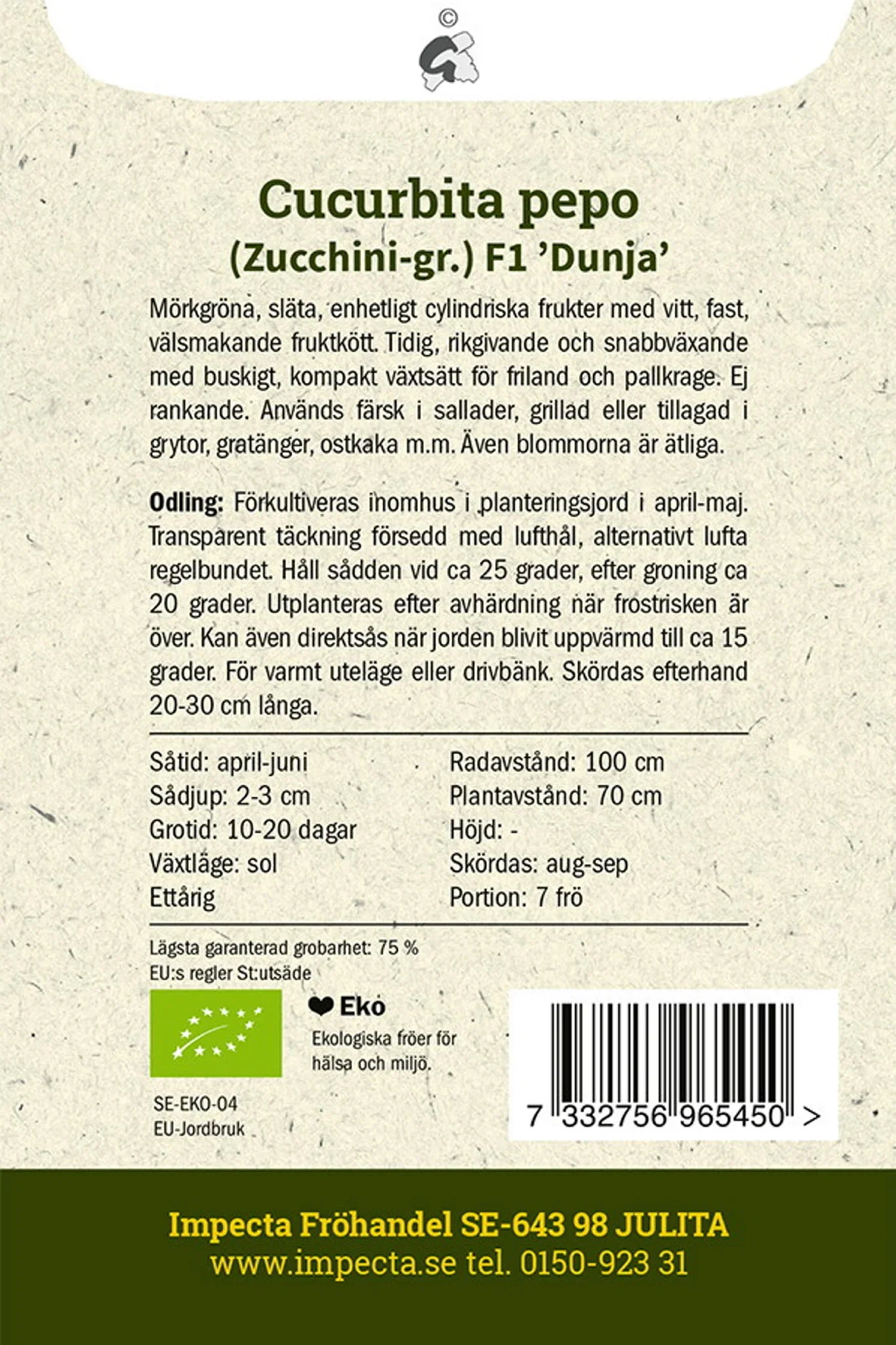 Cucurbita pepo F1 'Dunja'