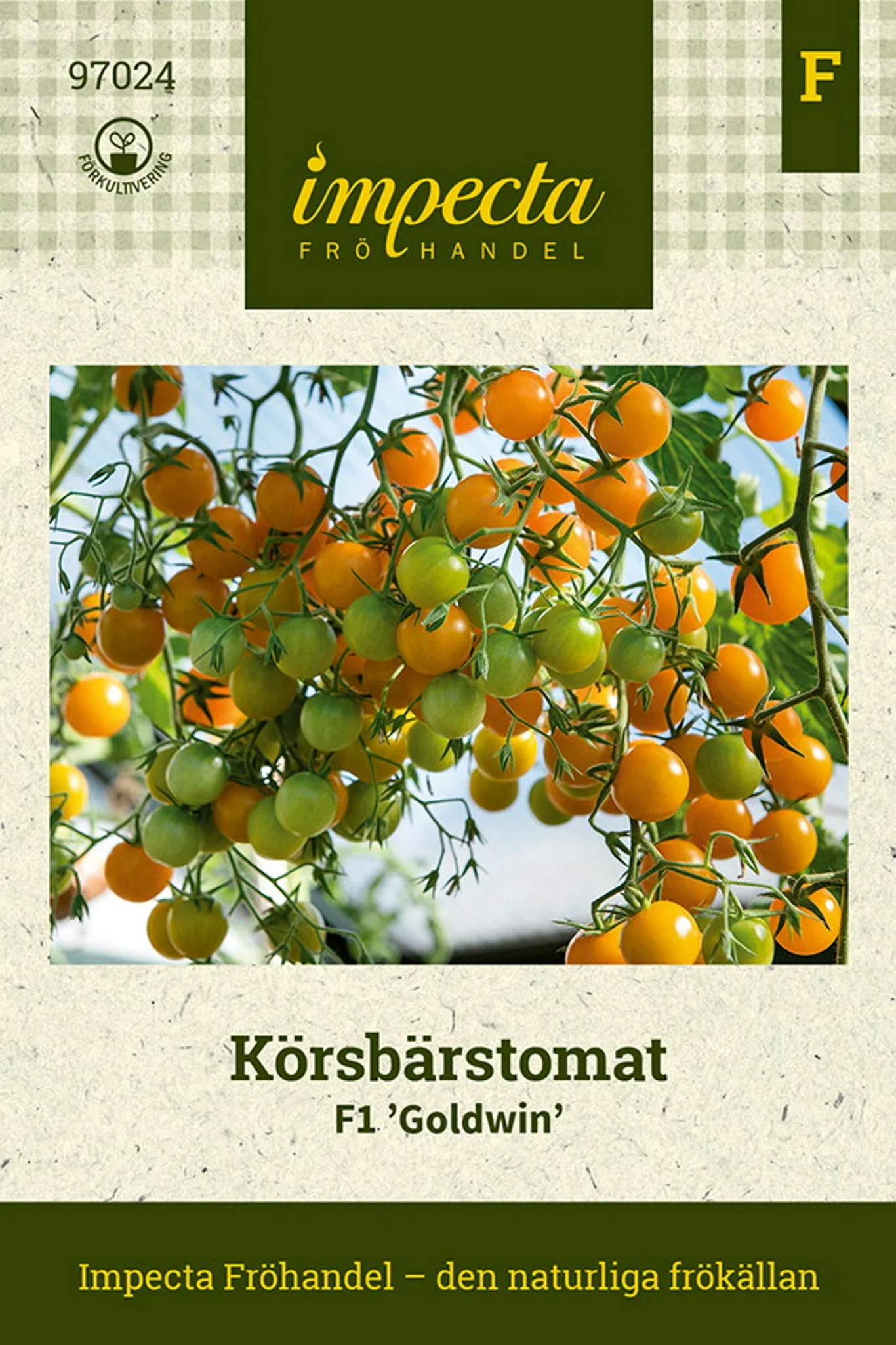 Solanum lycopersicum F1 'Goldwin'