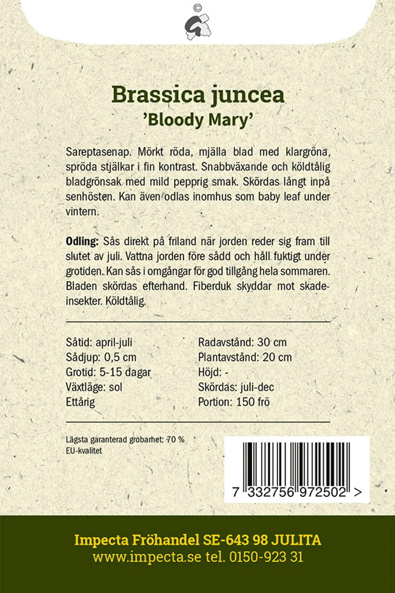 Brassica juncea 'Bloody Mary'