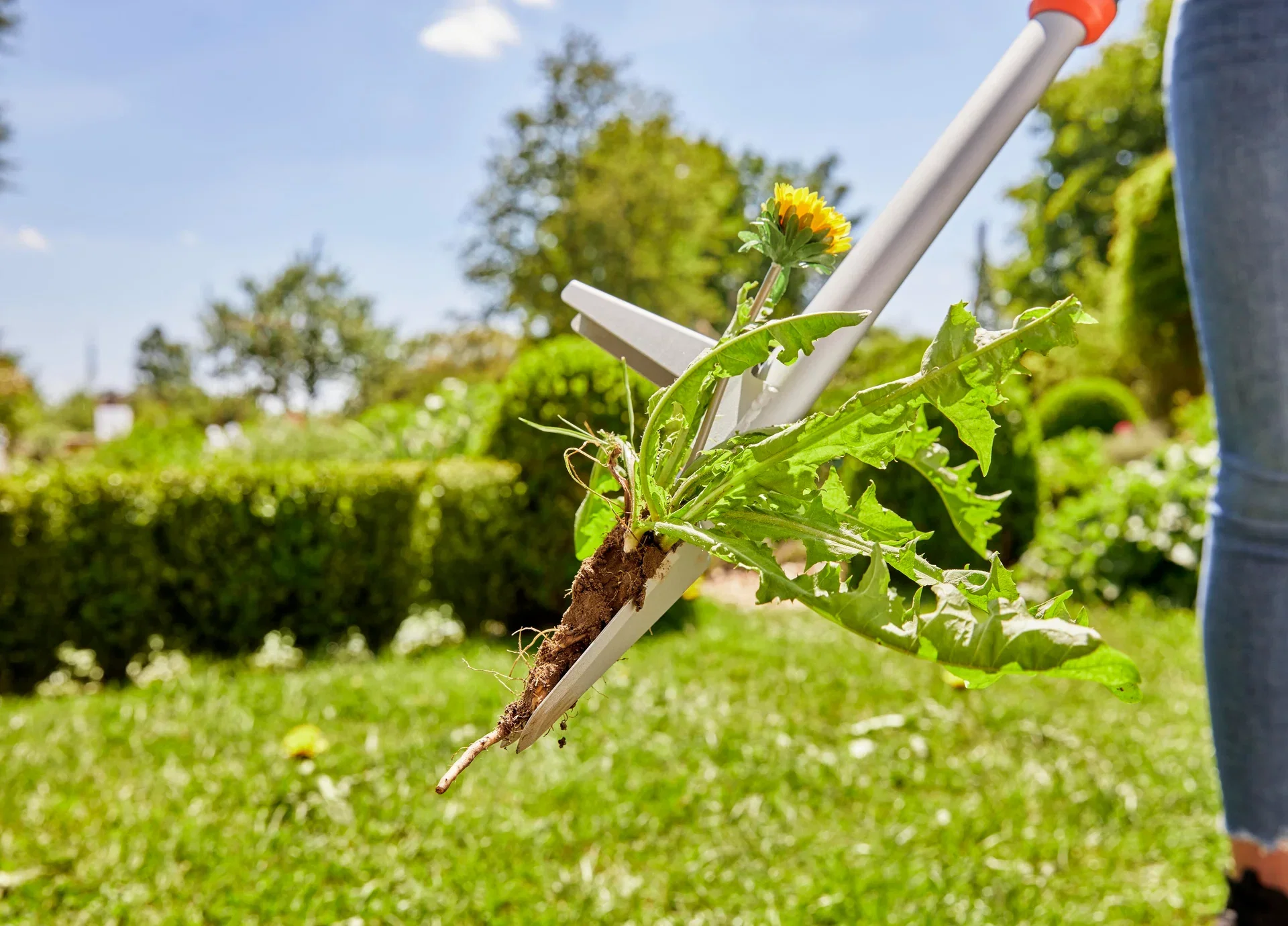 Ogräsupptagare Gardena