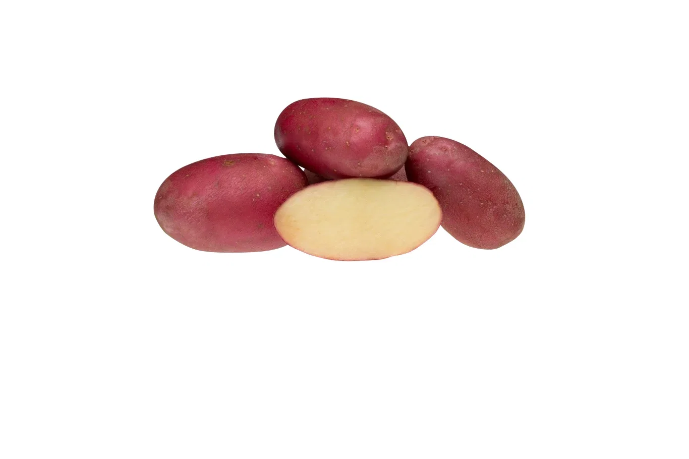 Potato Evolution 2,5kg