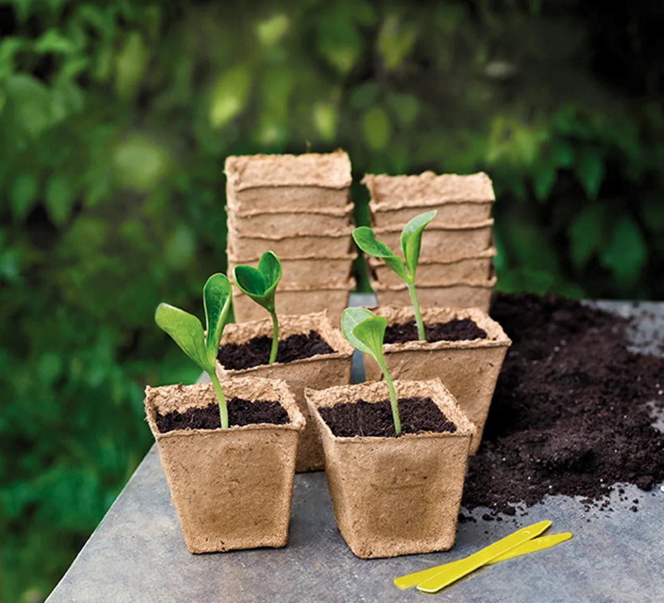 Pot Natural Fibre DUO 6cm 10p