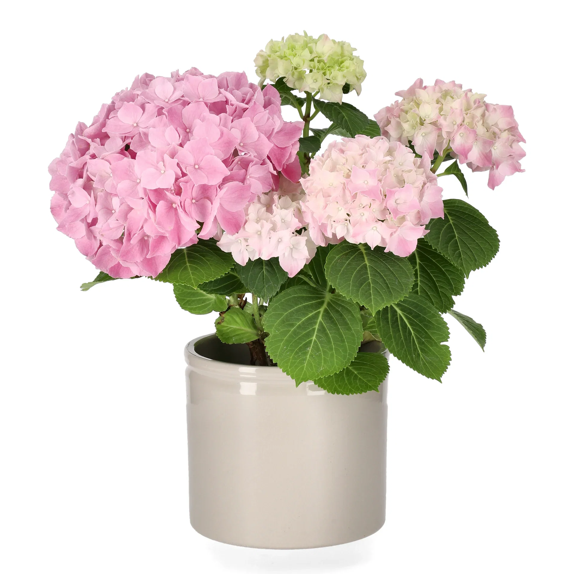 Ada pot D13 beige