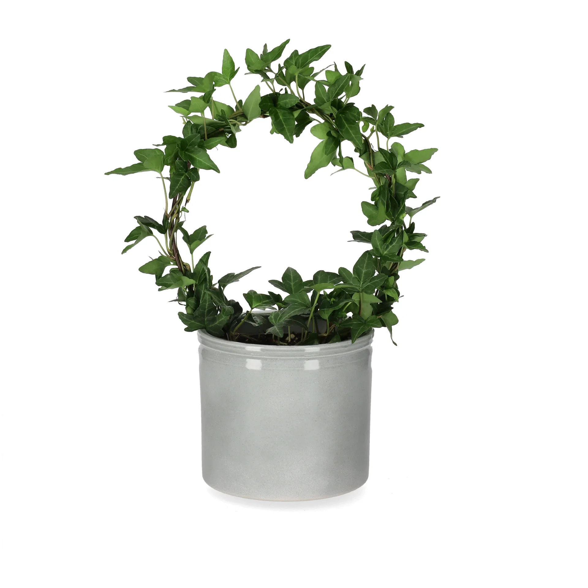 Ada pot D13 green