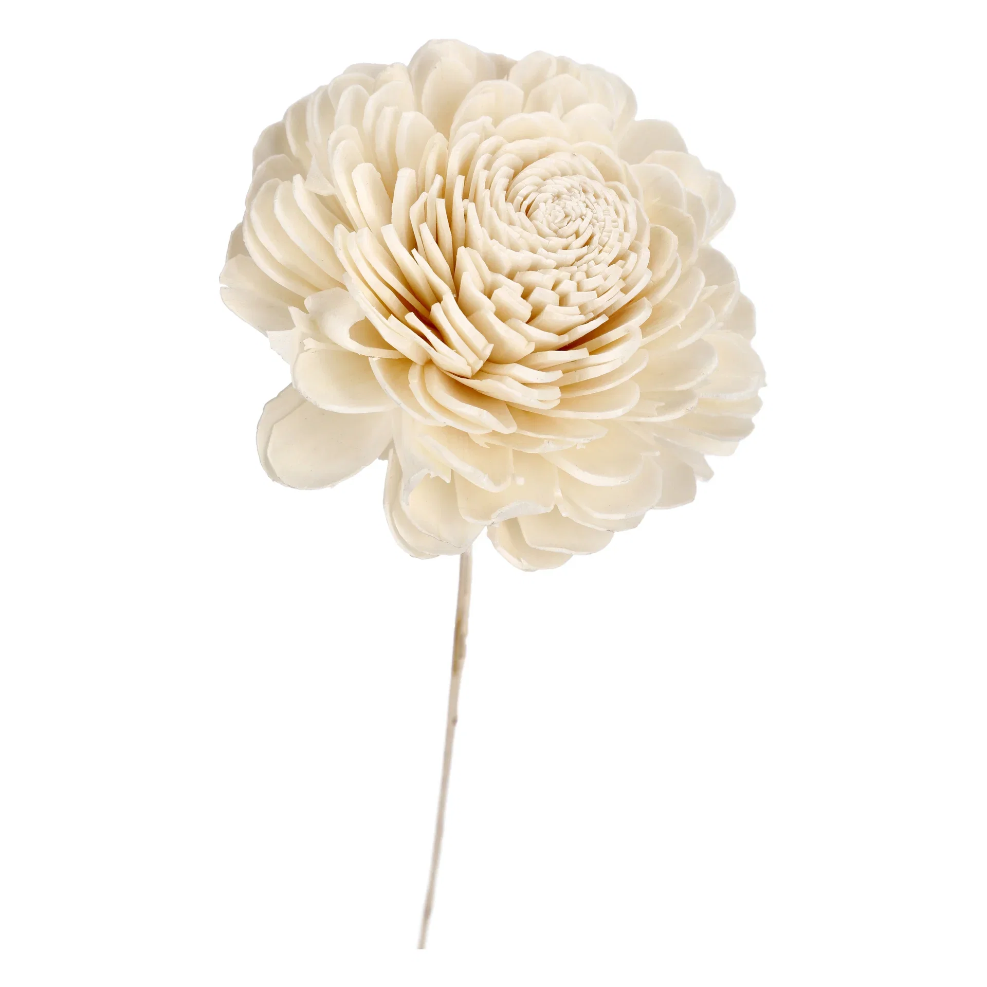 Belly paper flower H85 offwhite