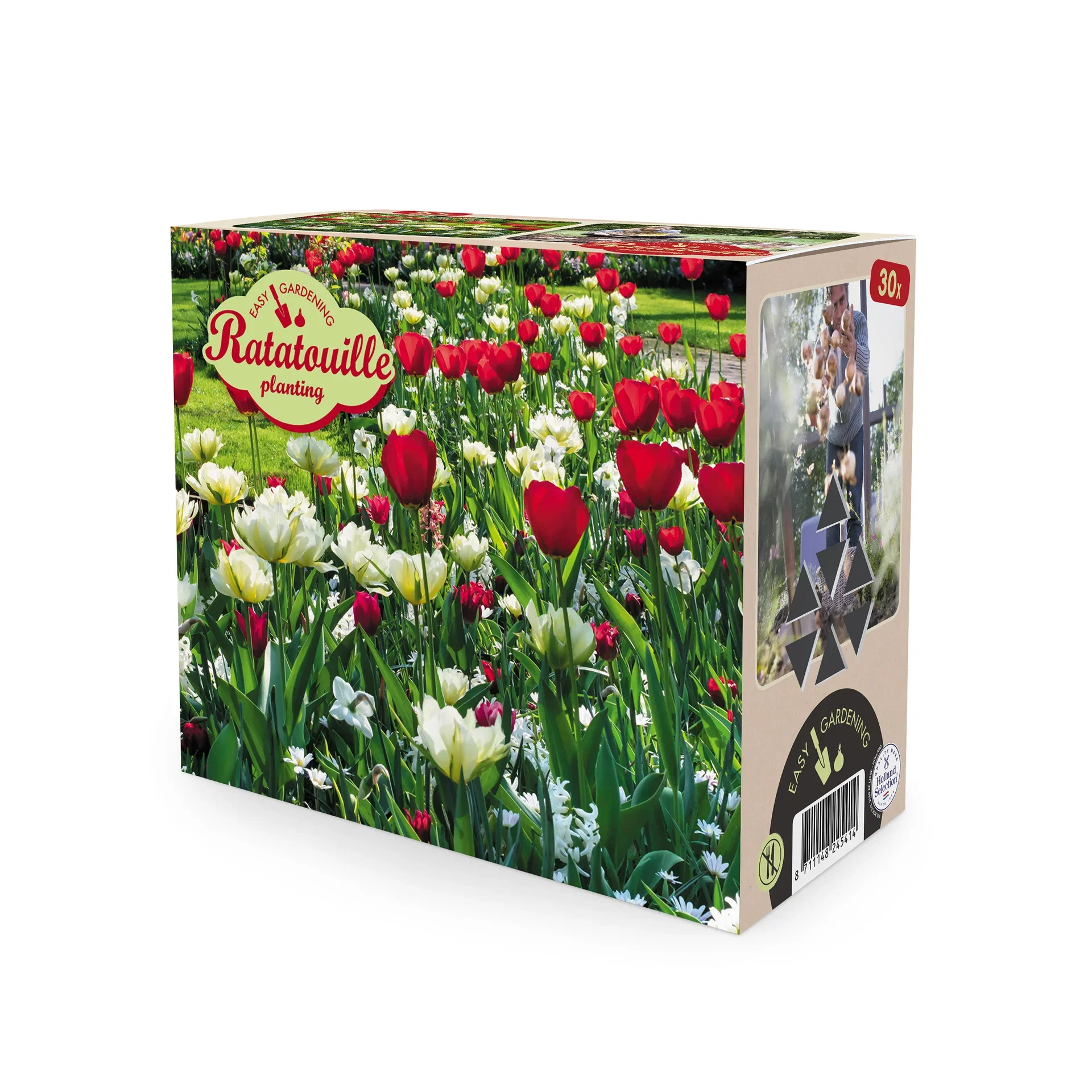 Vårblommande lök mix Ratatouille