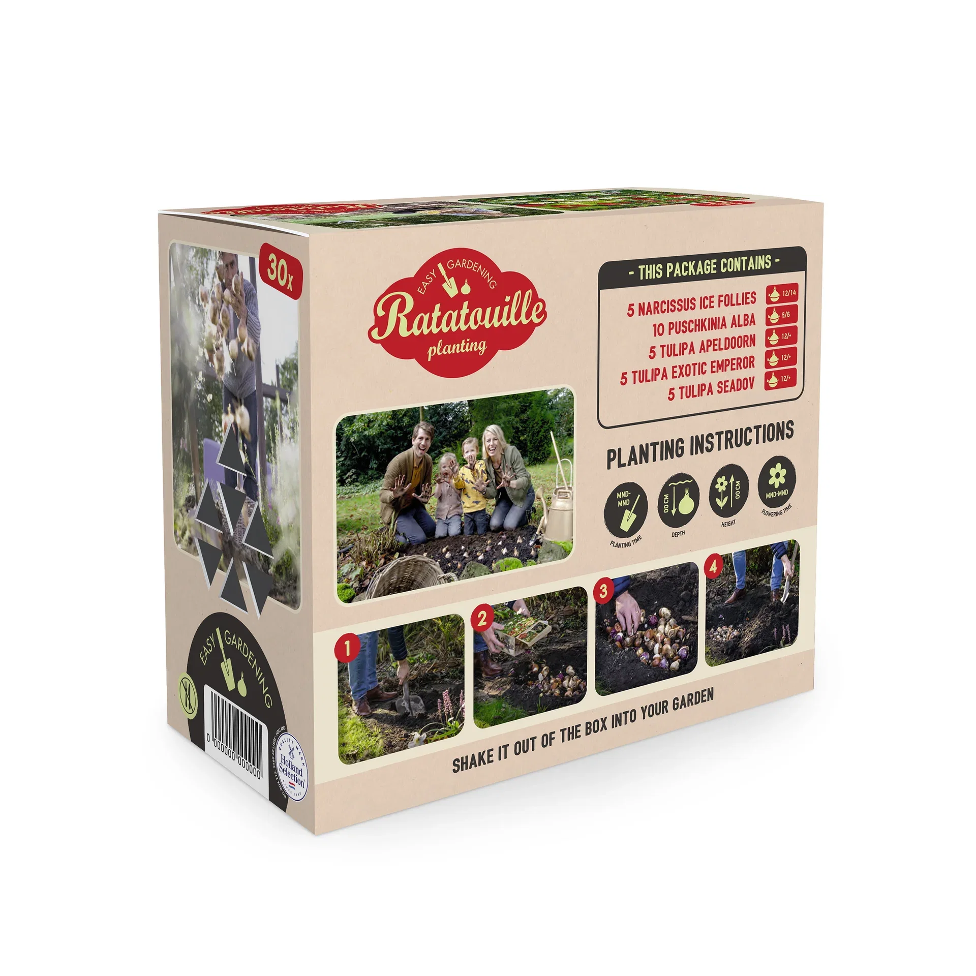 Vårblommande lök mix Ratatouille