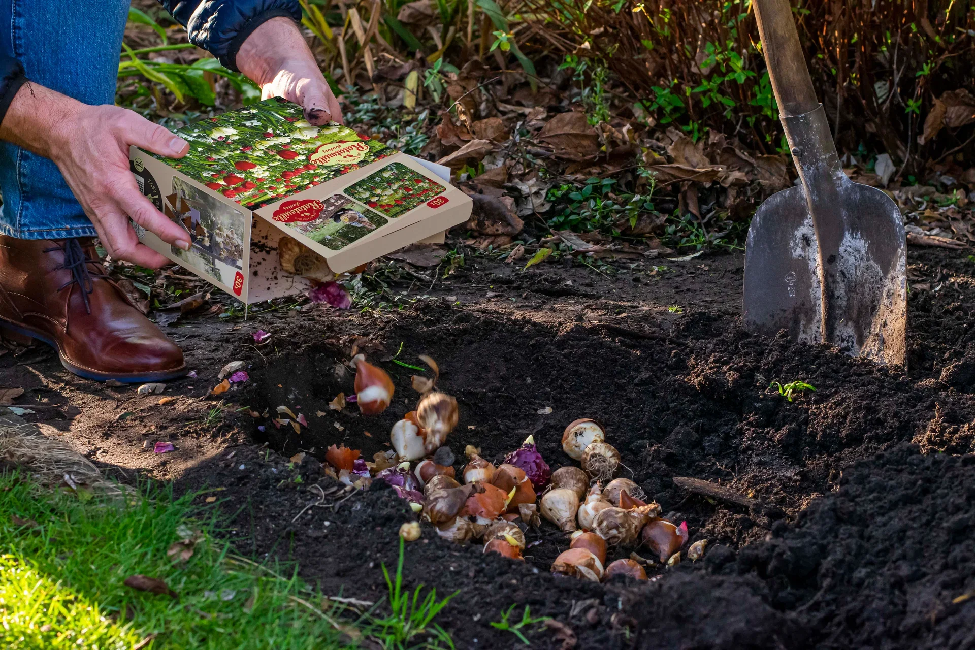 Vårblommande lök mix Ratatouille