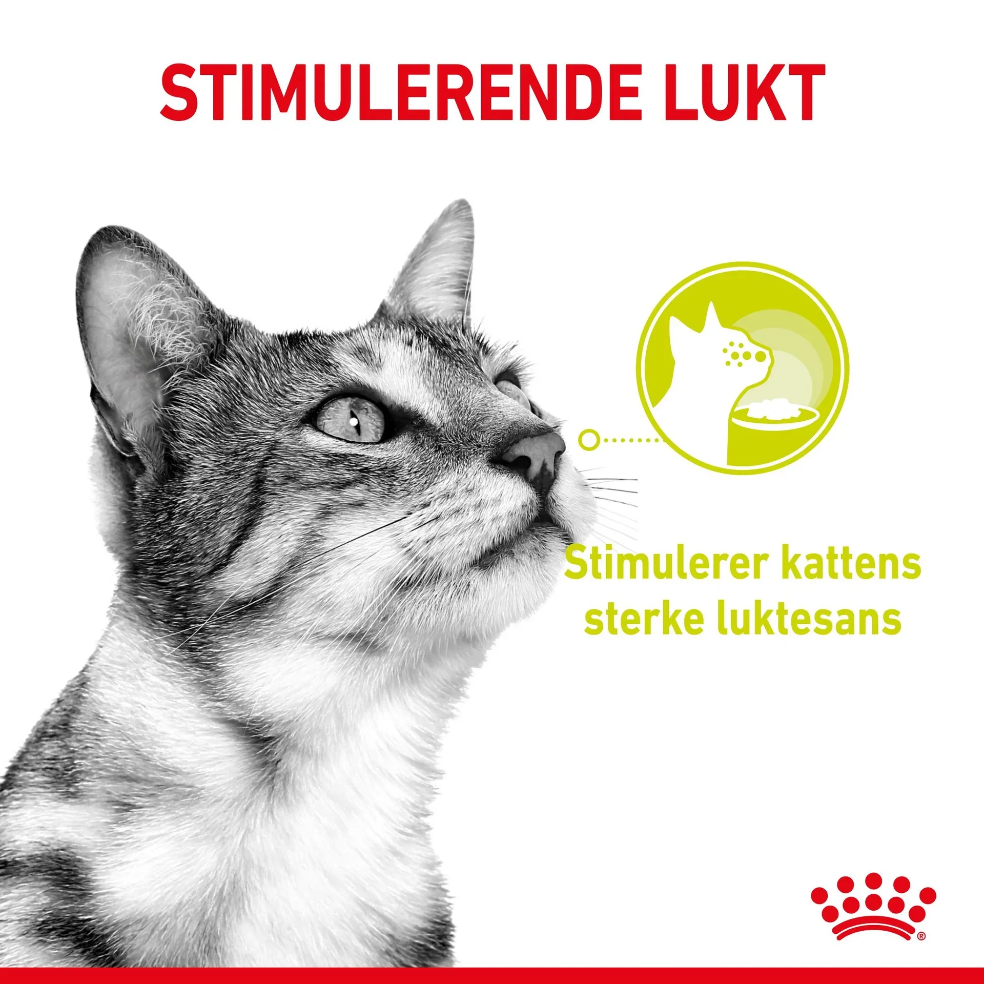 Sensory Mixed box Gravy 12x85g