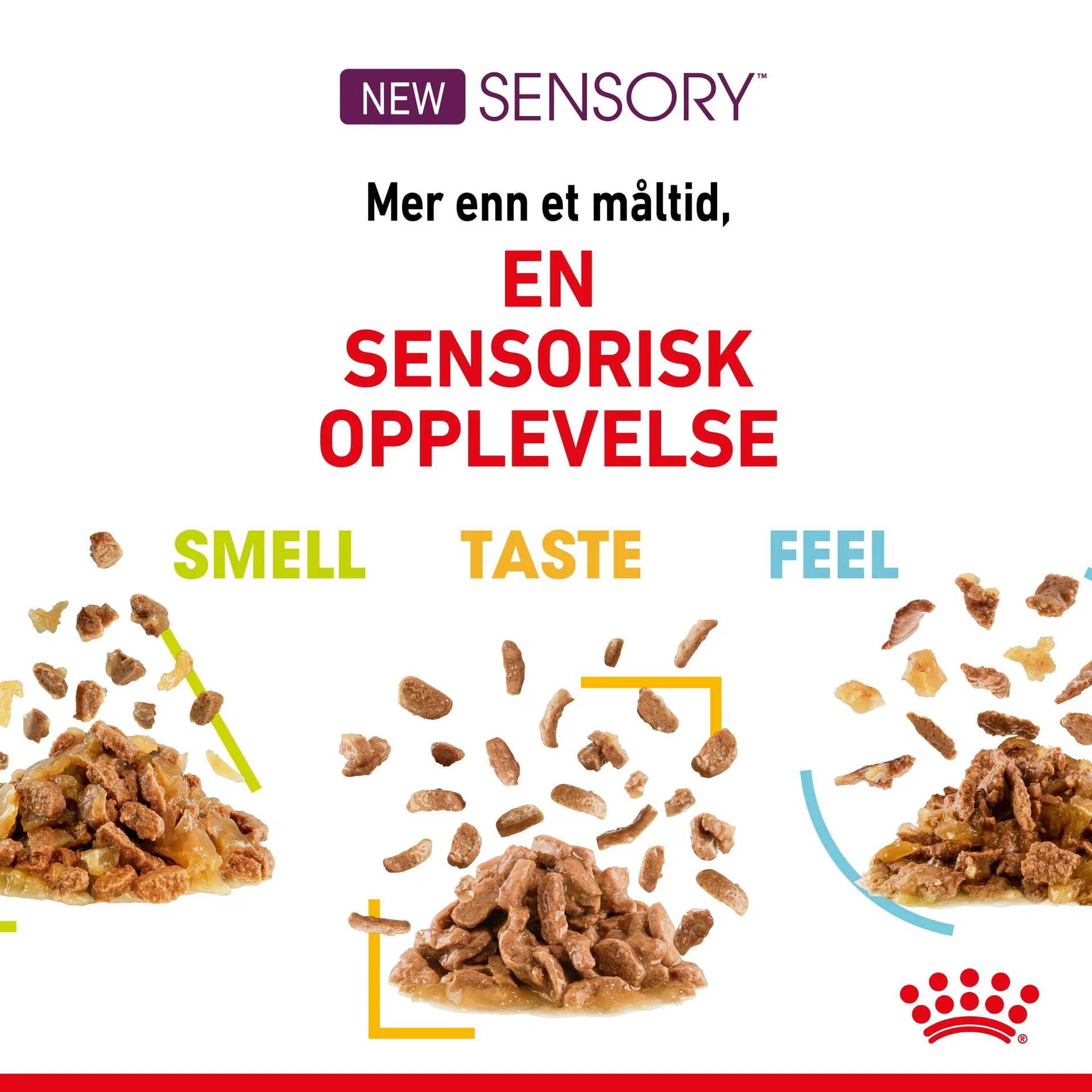 Sensory Mixed box Gravy 12x85g