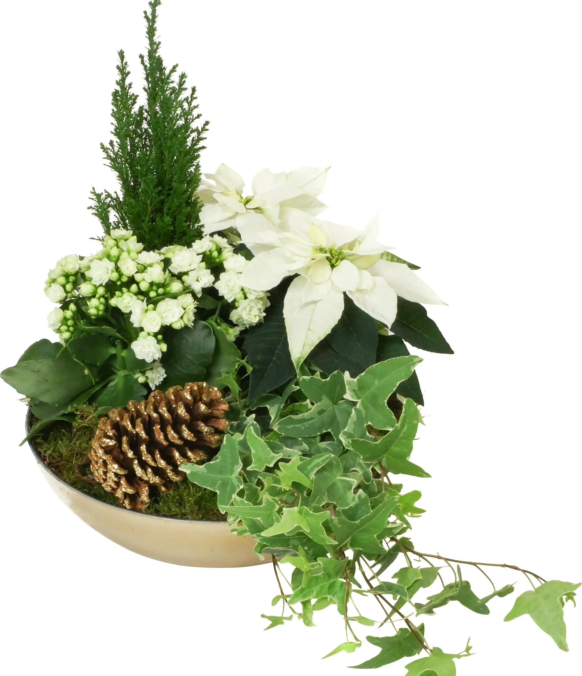 Christmas Dec. Large White