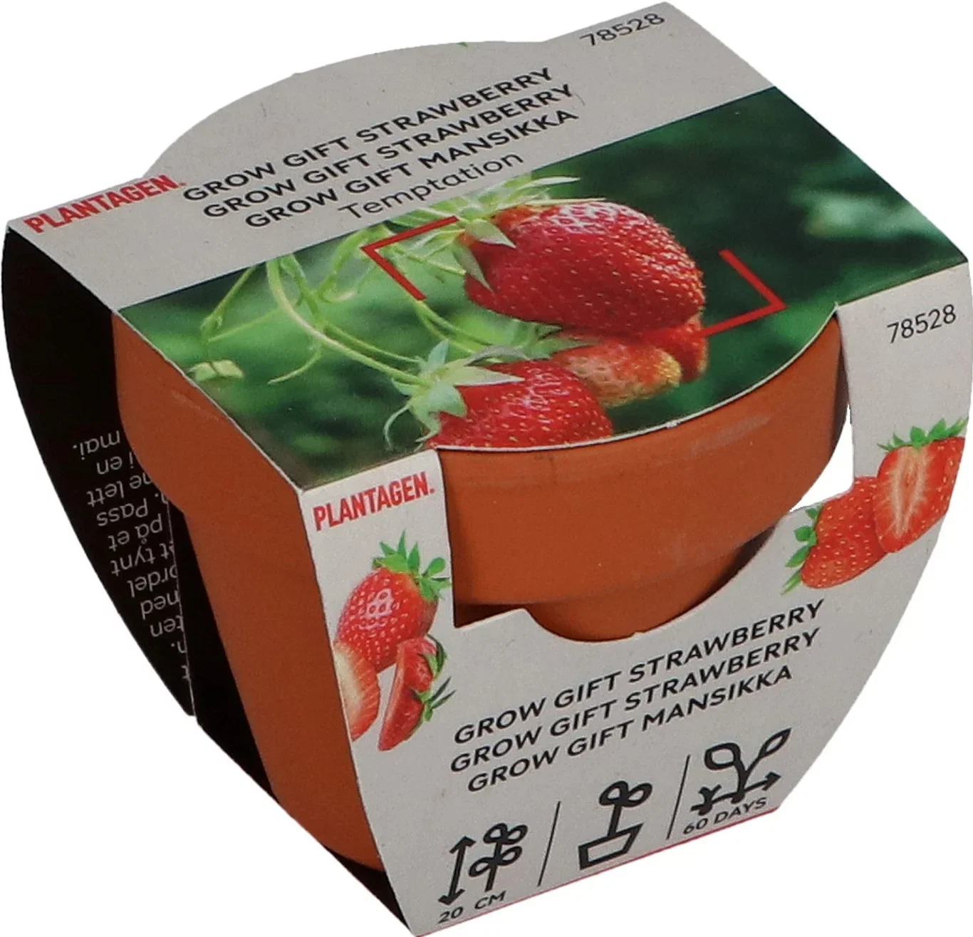 Grow Gifts - Strawberry