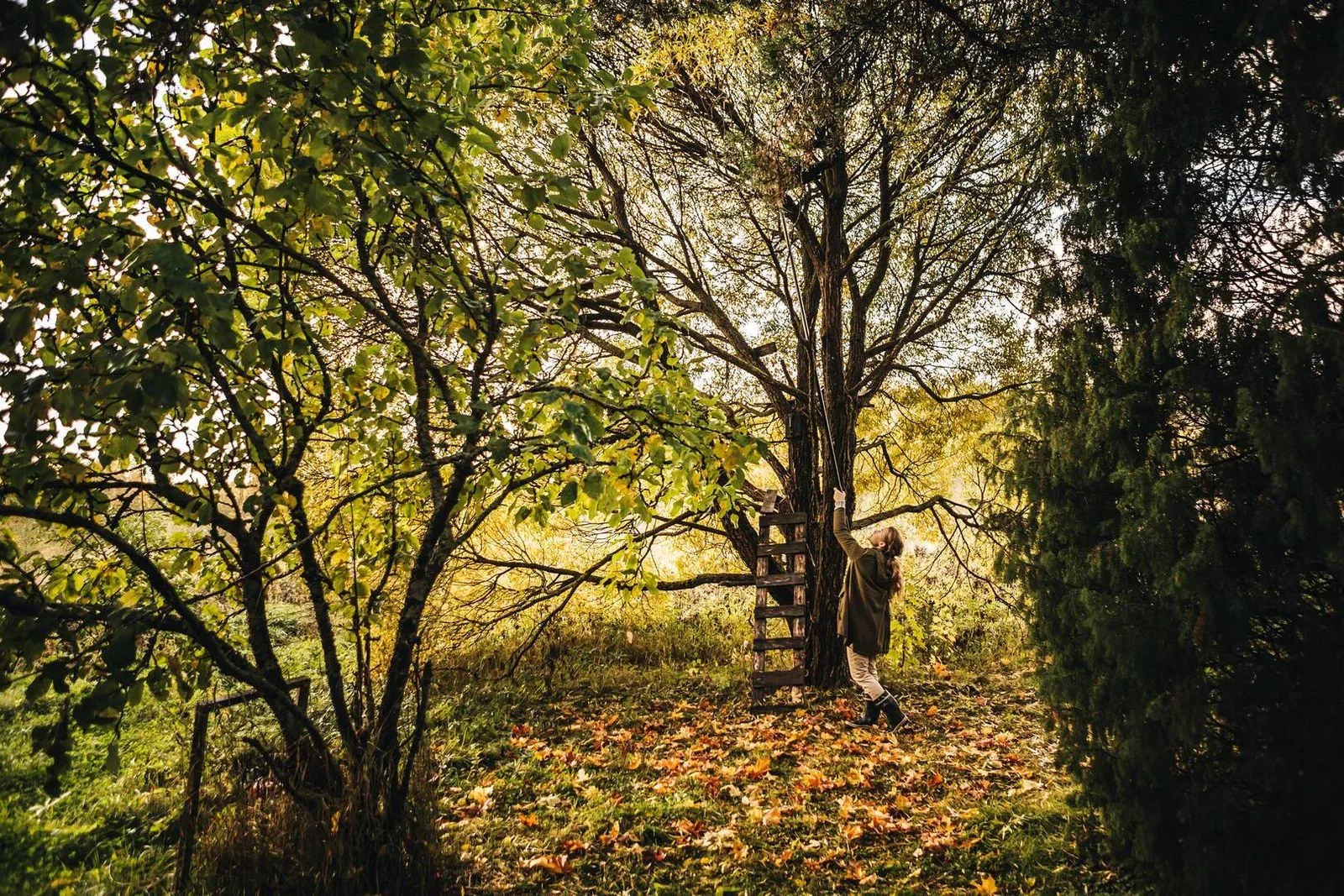 Universalklippare PowerGearX UPX86