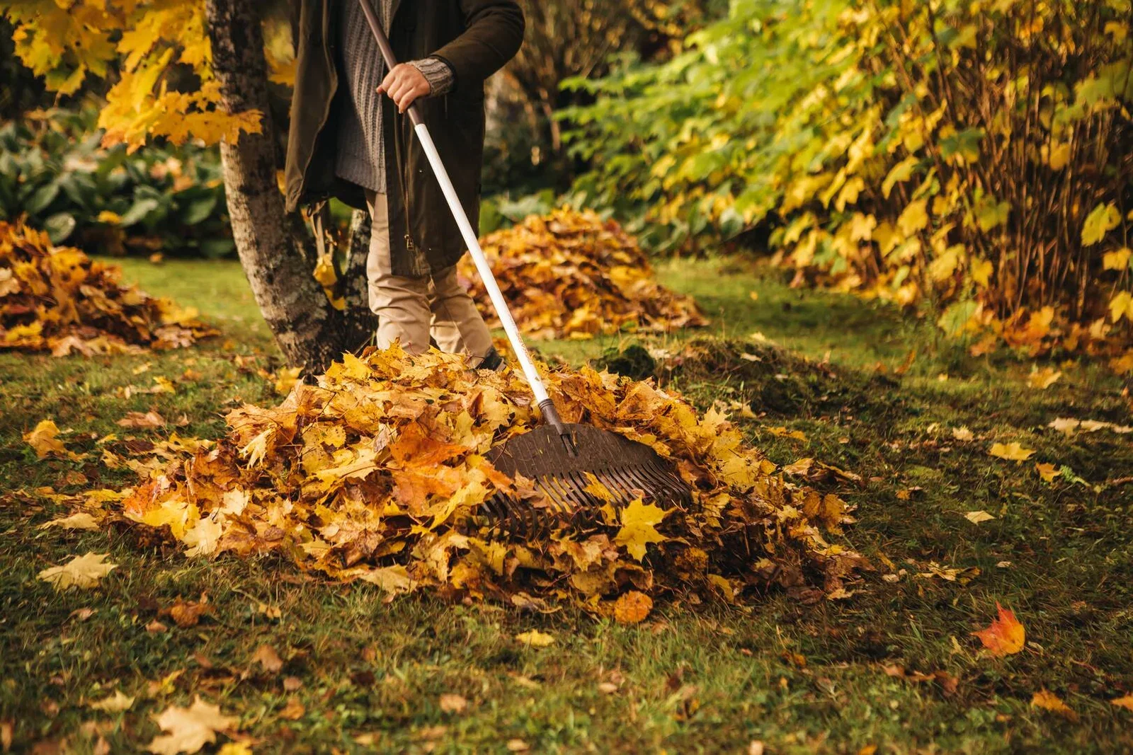 Leaf Rake Classic M FSC