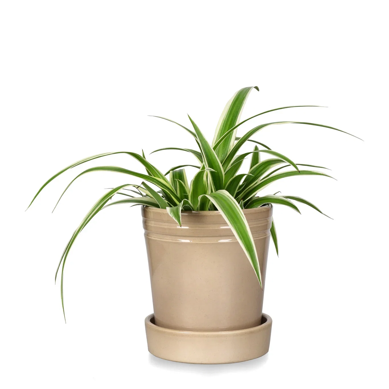 Amanda pot D14 beige