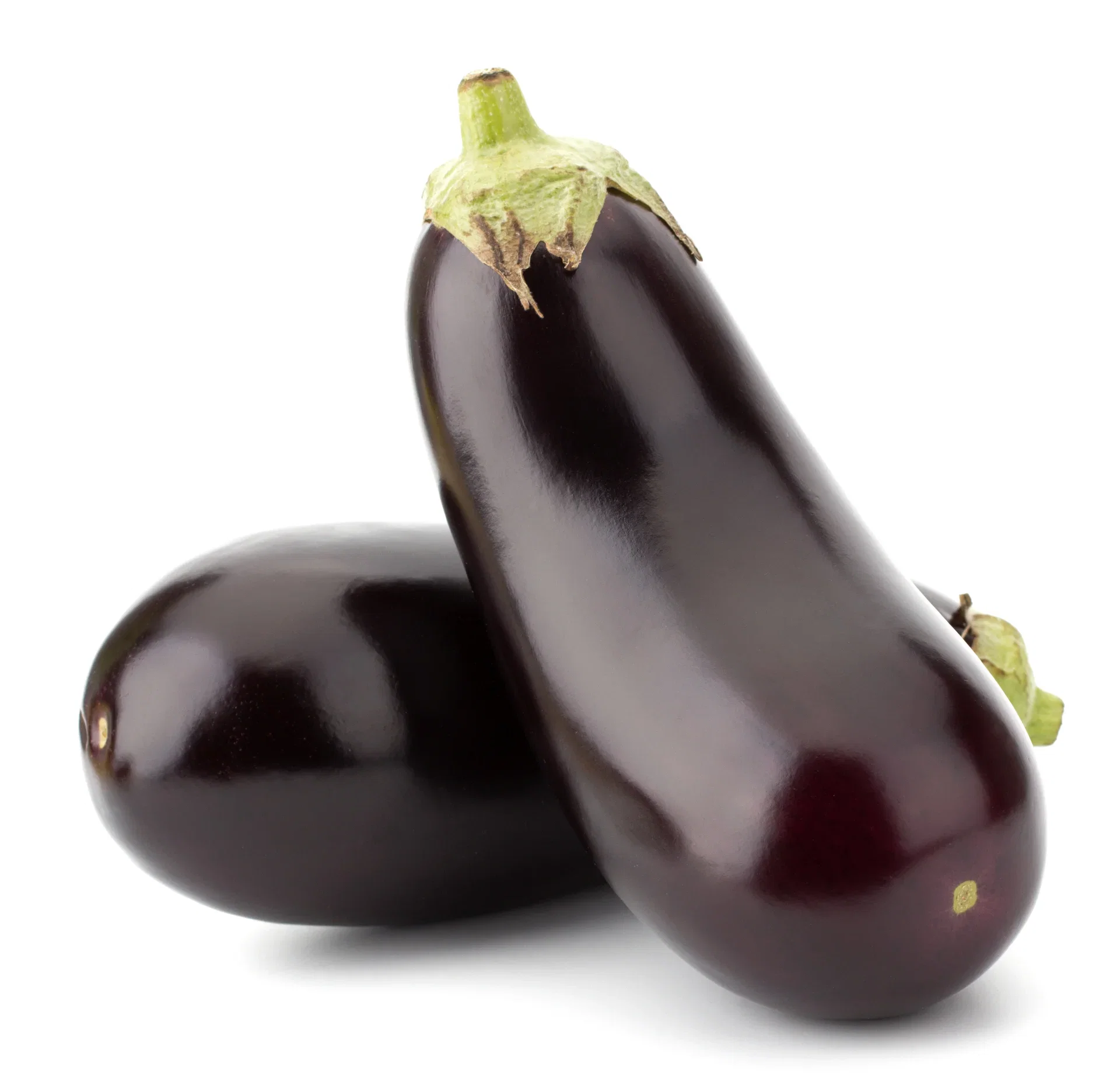 All N. Aubergine 'Violette di Rimini' 10,5 cm
