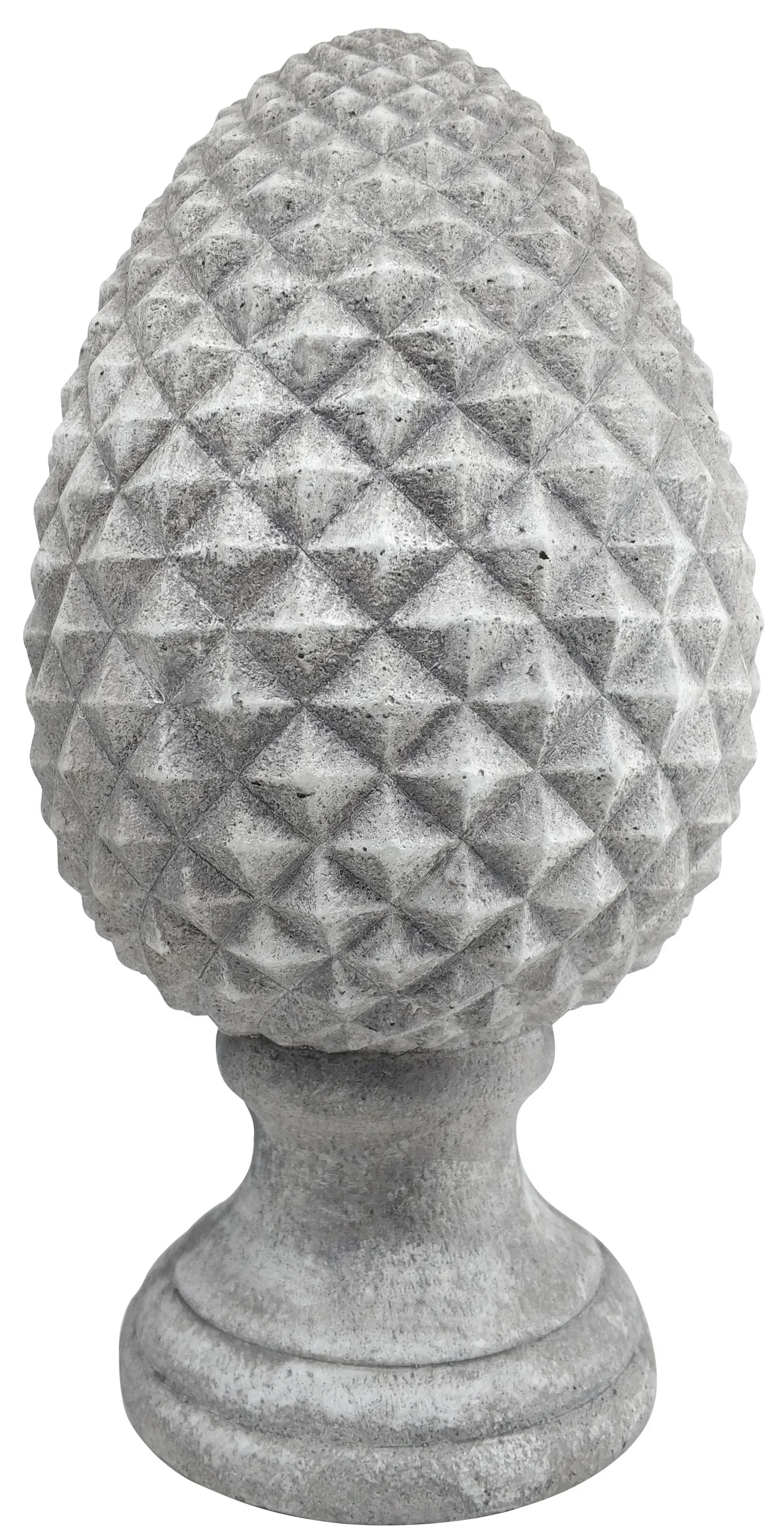 Pinus pinecone H37 grey
