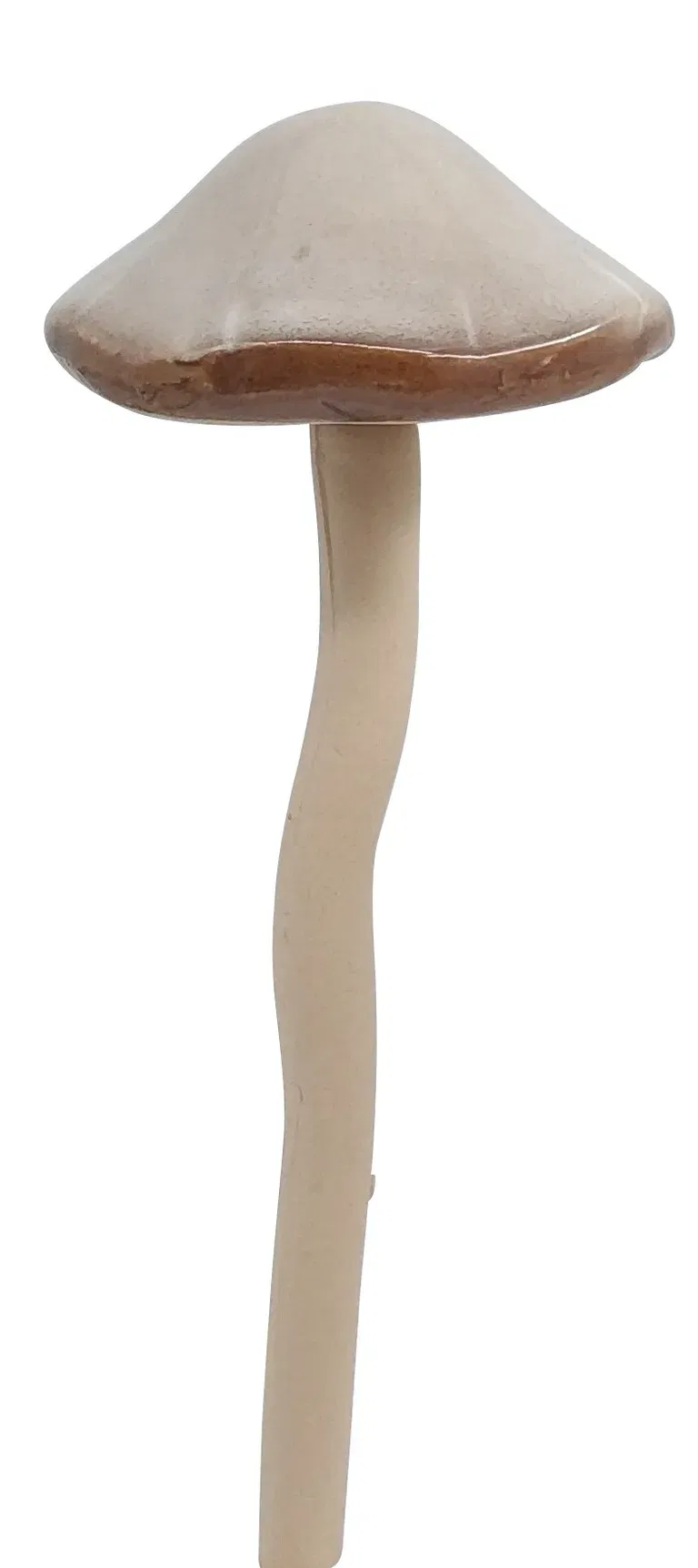 Dekorationspinne Svamp Lapis