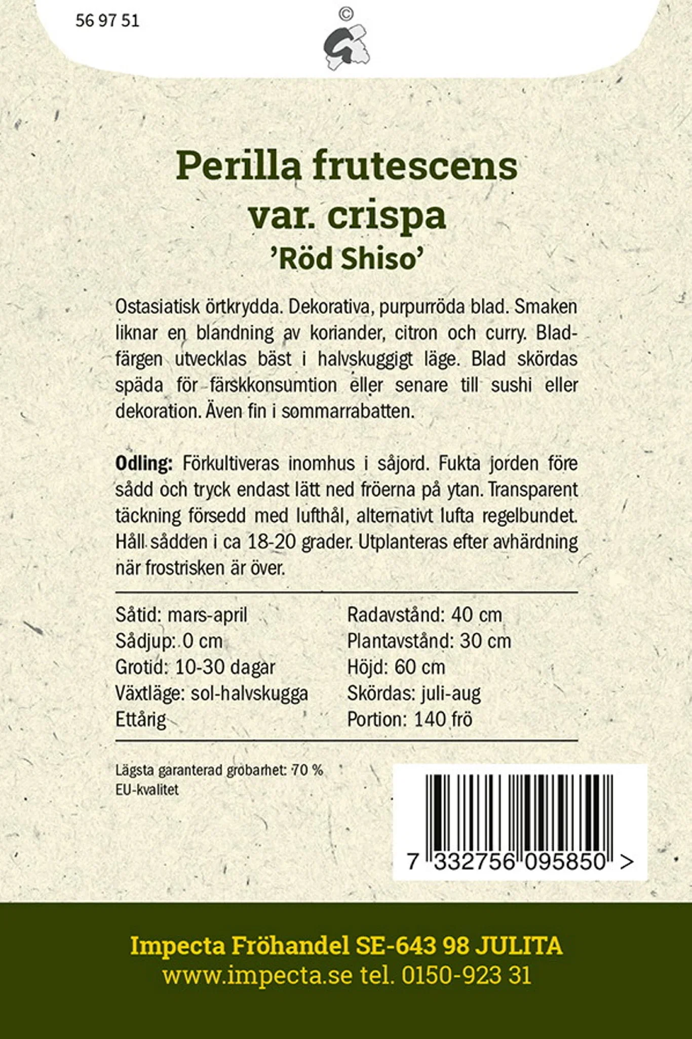 Bladmynta 'Röd Shiso'