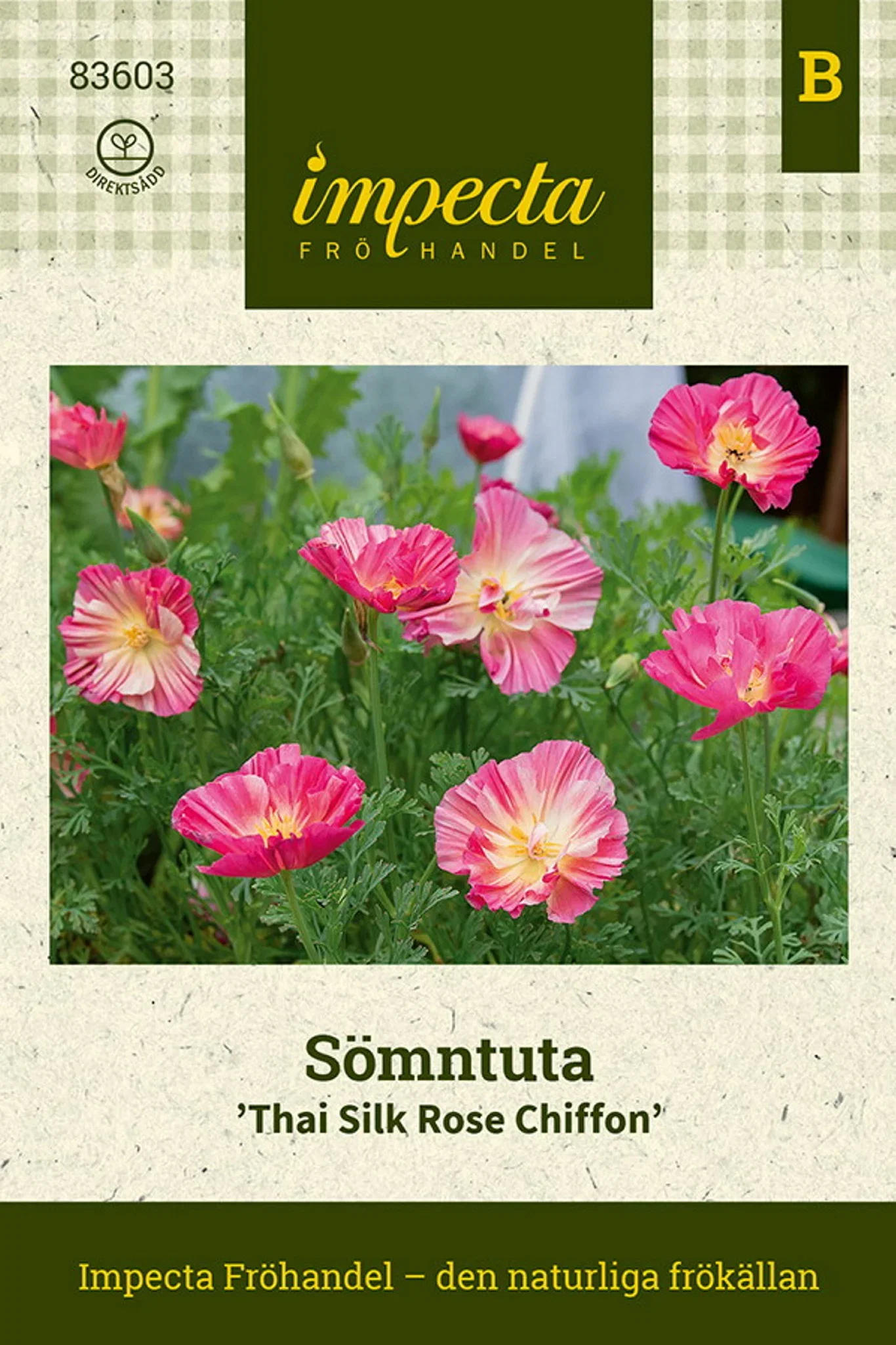 Sömntuta 'Thai Silk Rose Chiffon'