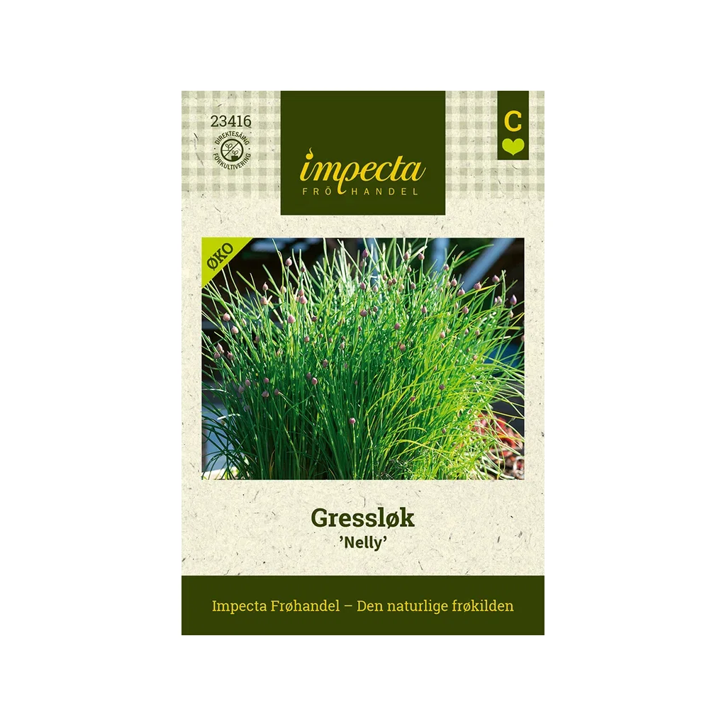 Allium schoenoprasum 'Nelly'