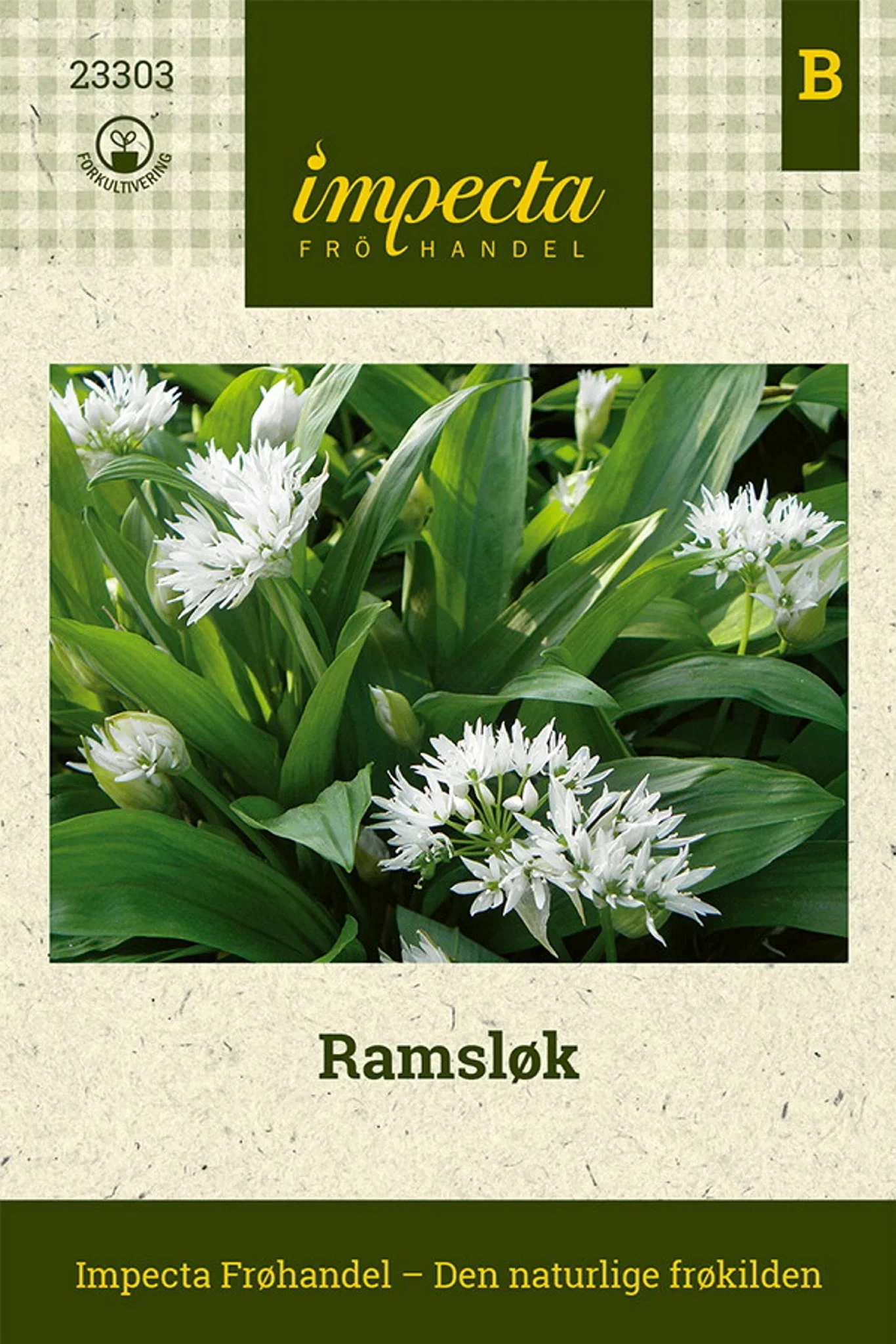 Ramsons