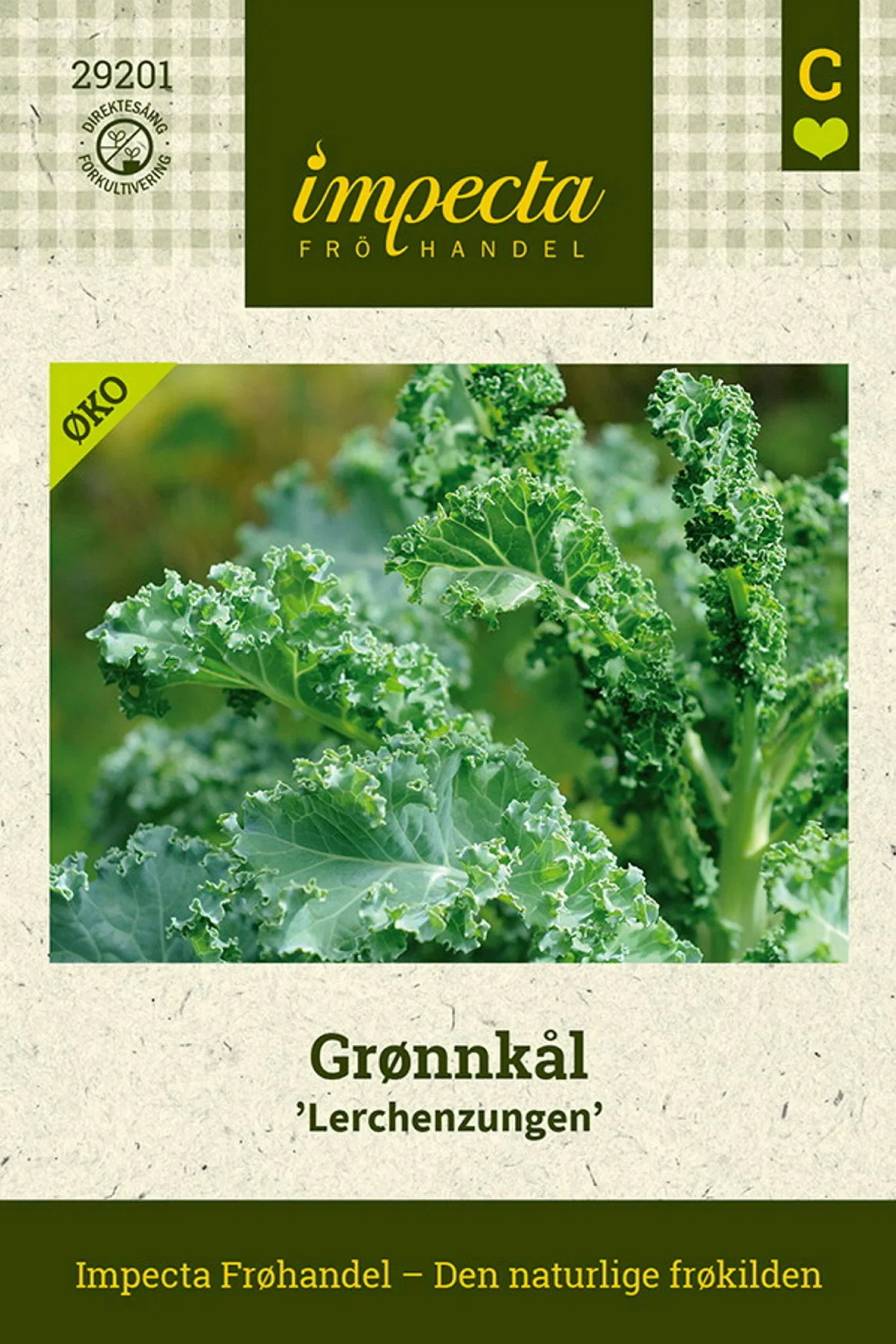 Grønnkål 'Lerchenzungen'