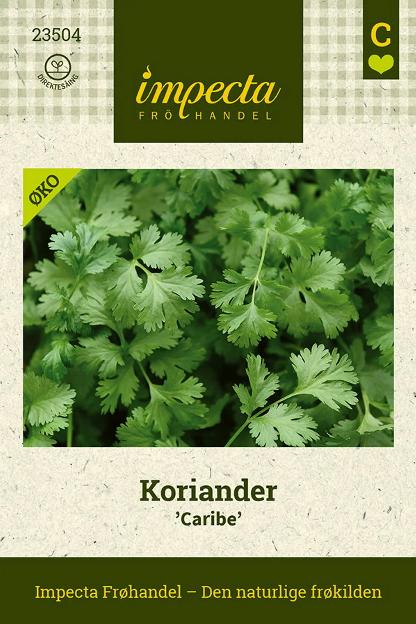 Coriandrum sativum 'Caribe'