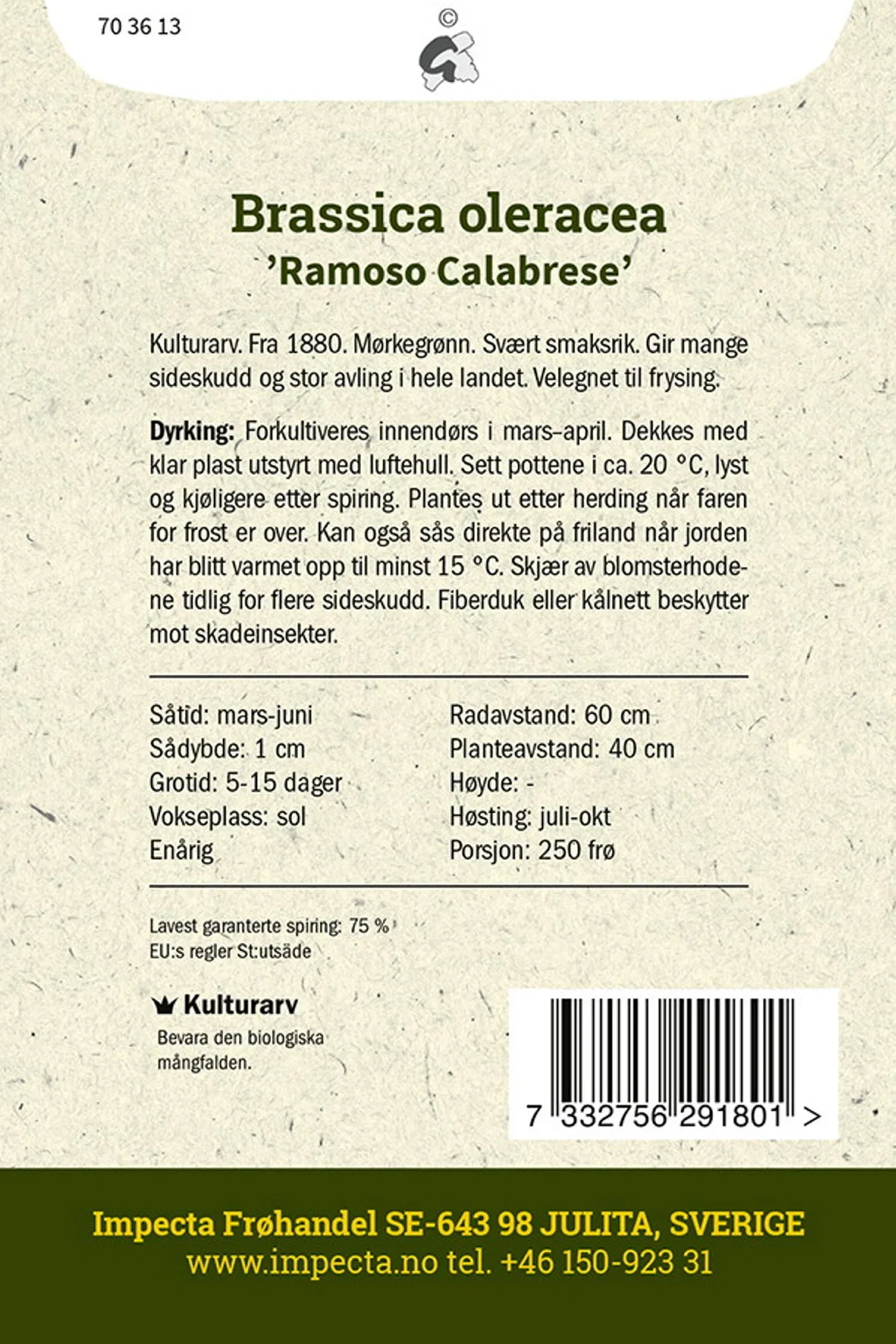 Brassica oleracea 'Ramoso Calabrese'