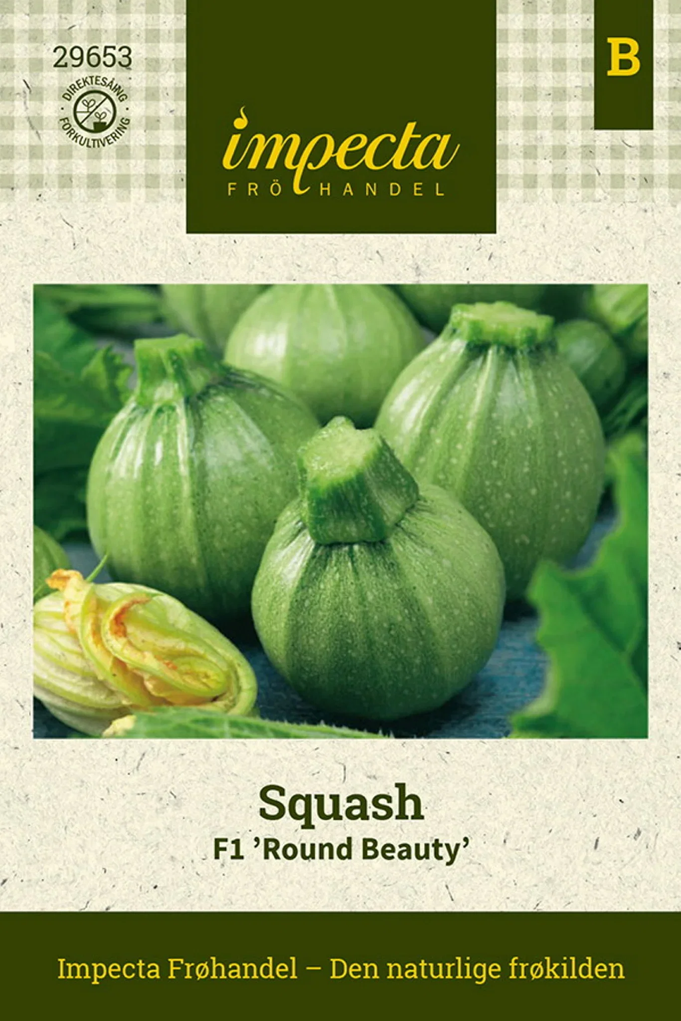 Cucurbita pepo F1 'Round Beauty'