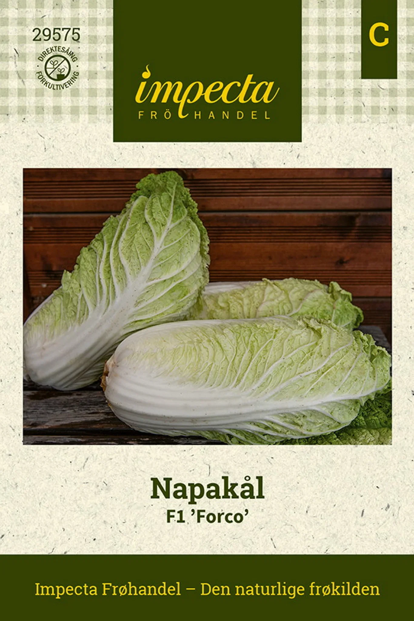 Brassica rapa F1 'Forco'