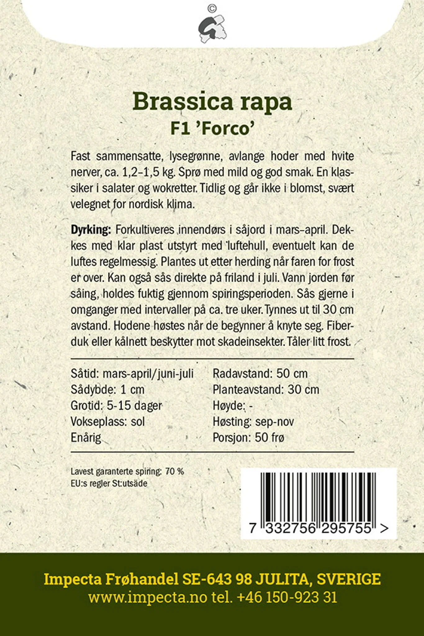 Brassica rapa F1 'Forco'