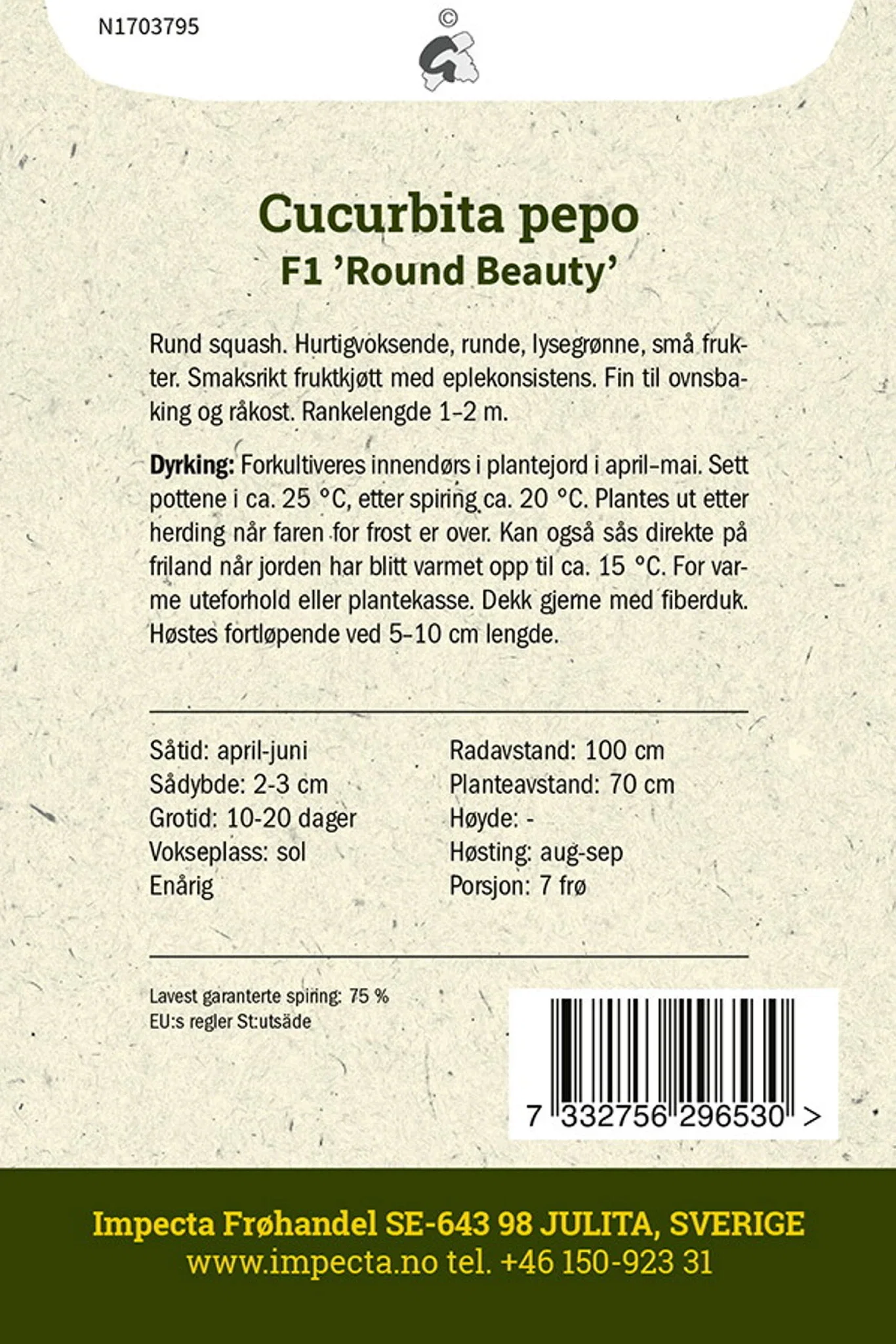 Cucurbita pepo F1 'Round Beauty'