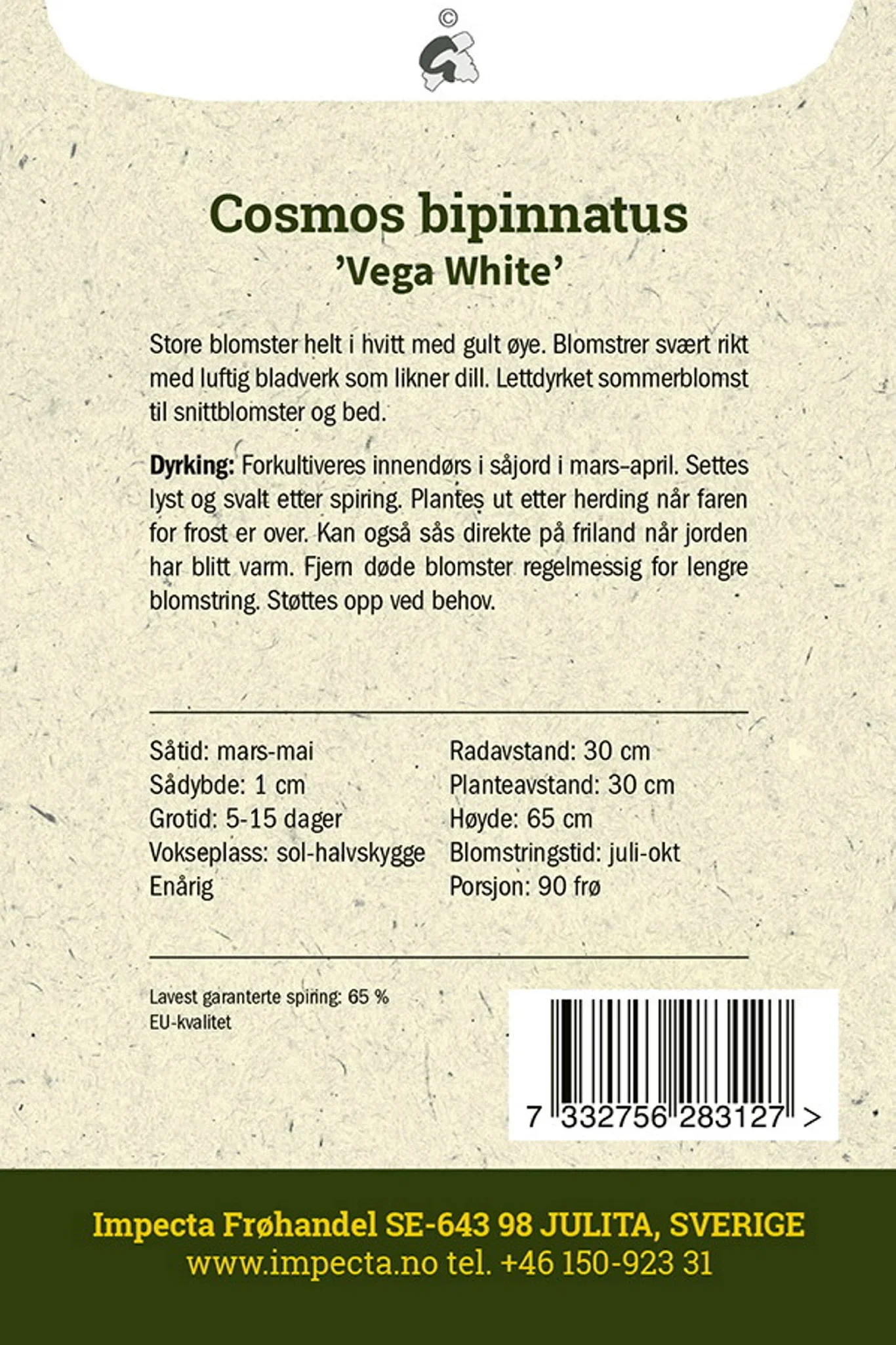 Cosmos bipinnatus 'Vega White'