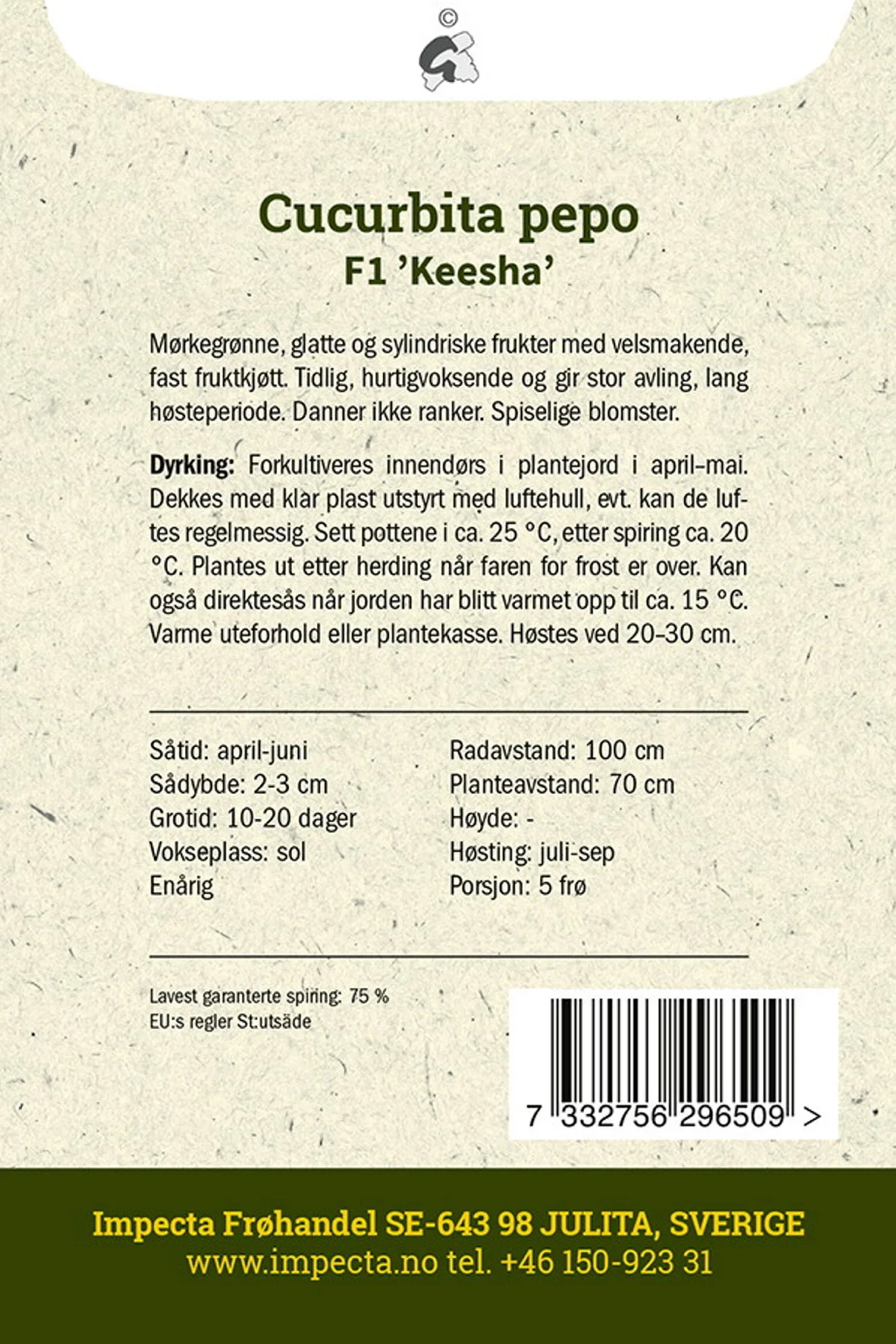 Cucurbita pepo F1 'Keesha'
