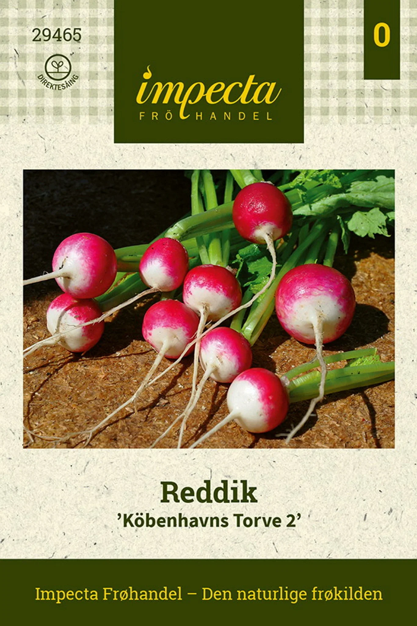 Raphanus sativus 'Köbenhavns Torve 2'