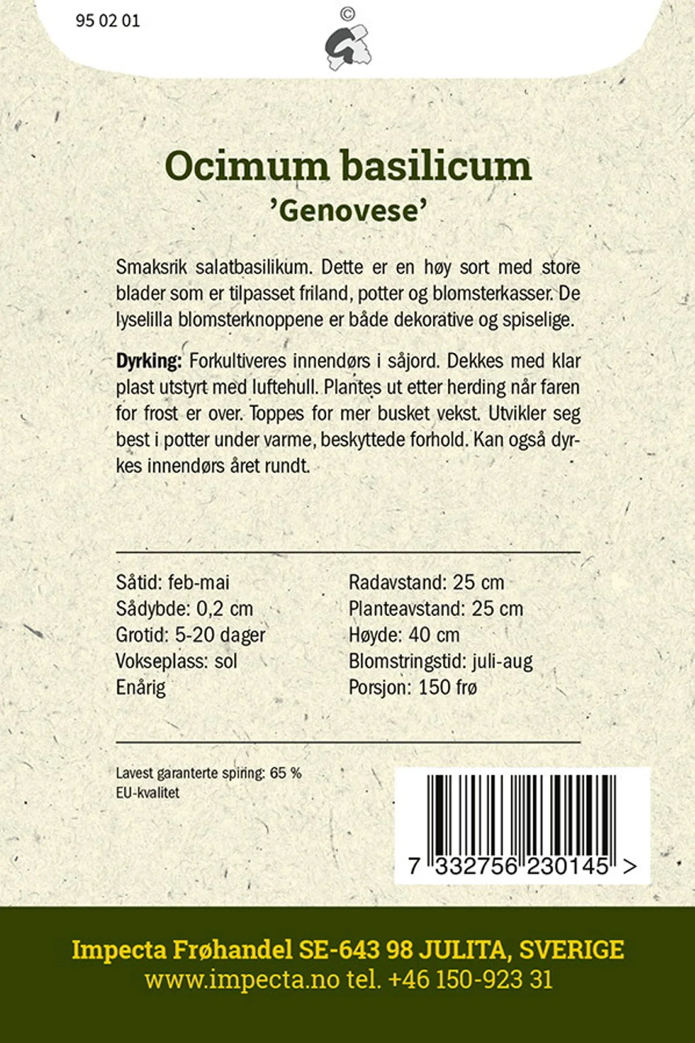 Ocimum basilicum 'Genovese'