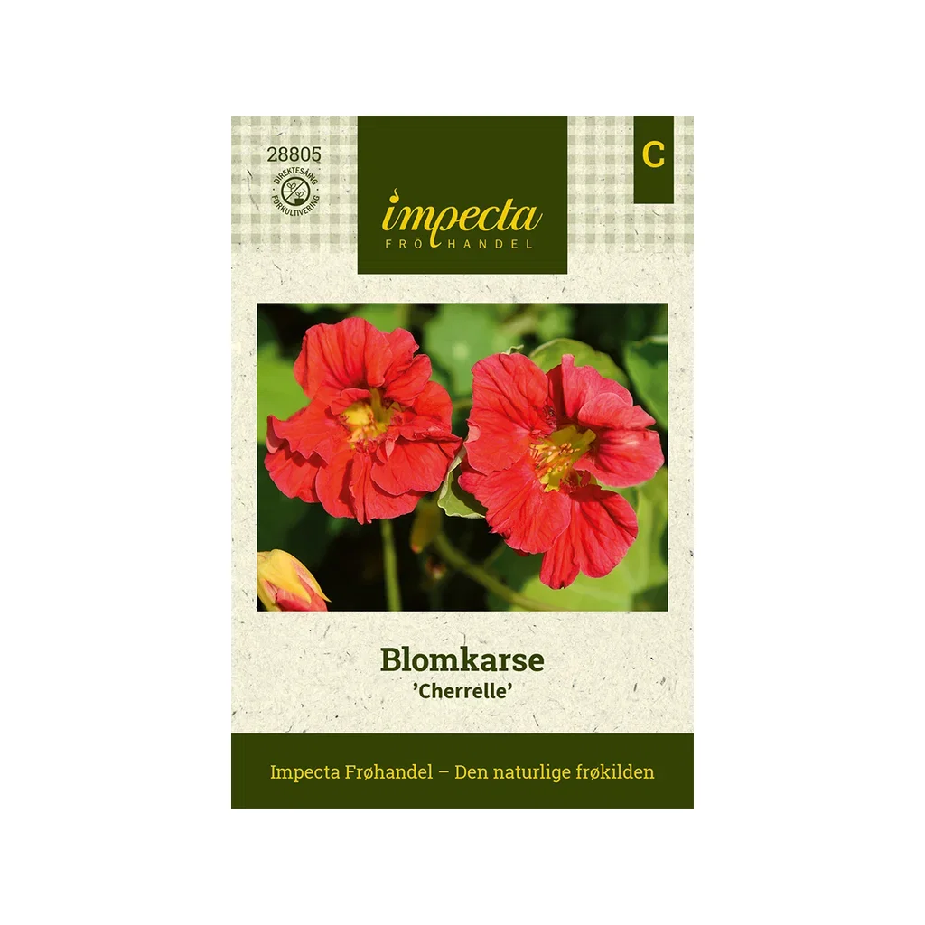 Tropaeolum majus 'Cherrelle'