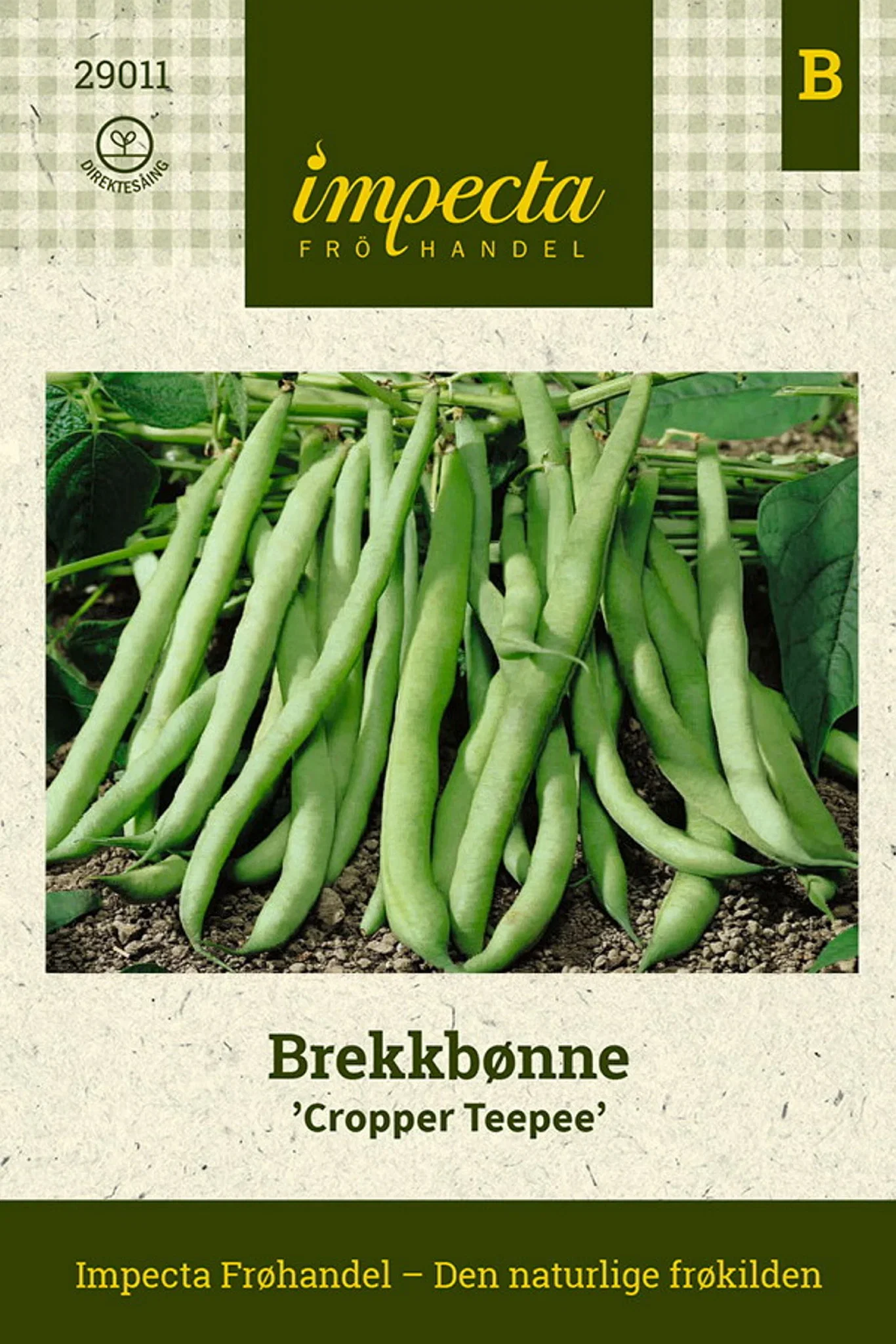 Bondböna 'Cropper Teepee'