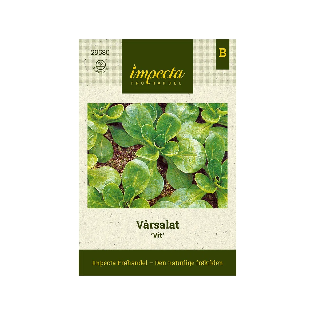 Vårsallat 'White'