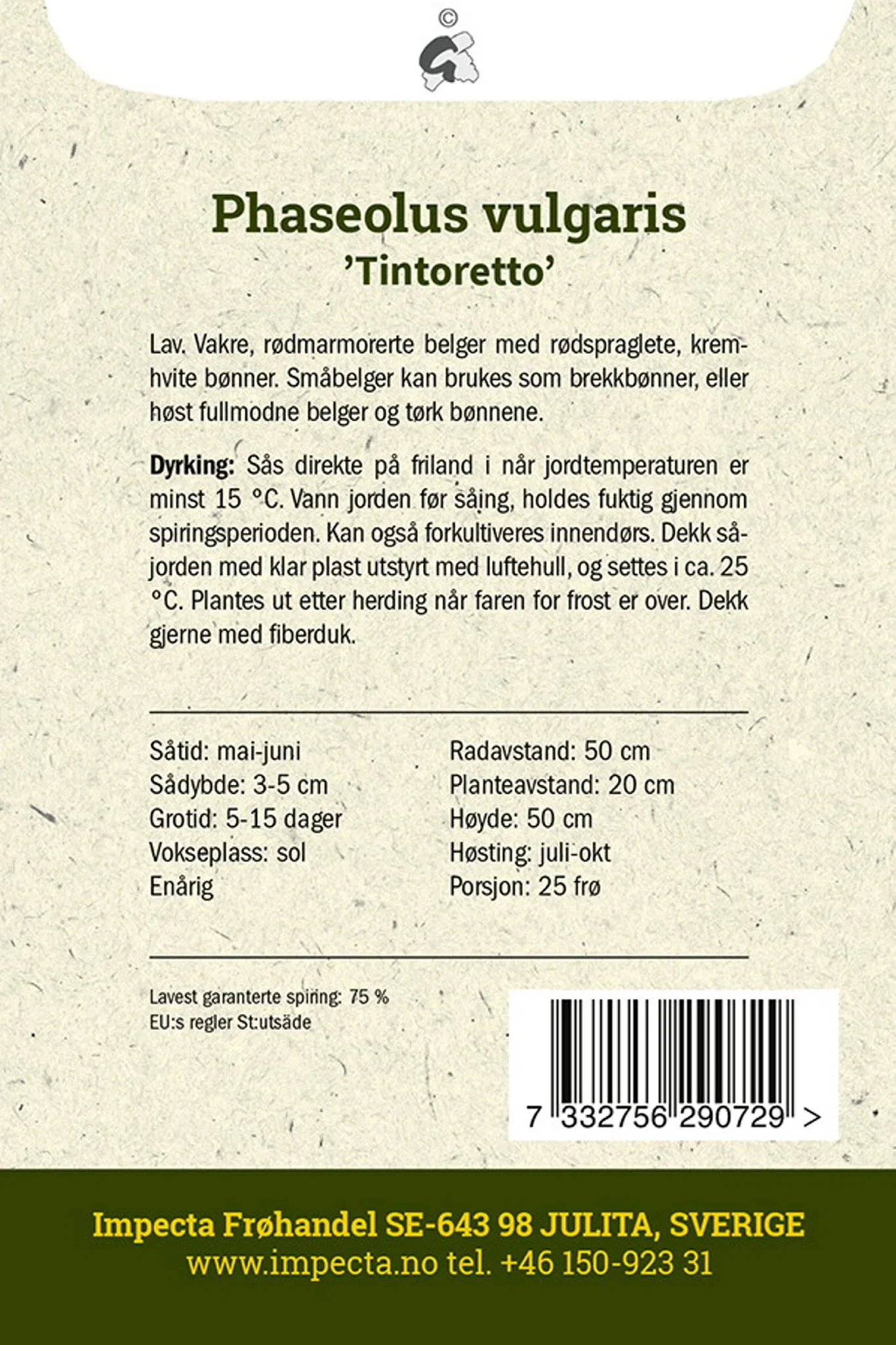 Phaseolus vulgaris 'Tintoretto'