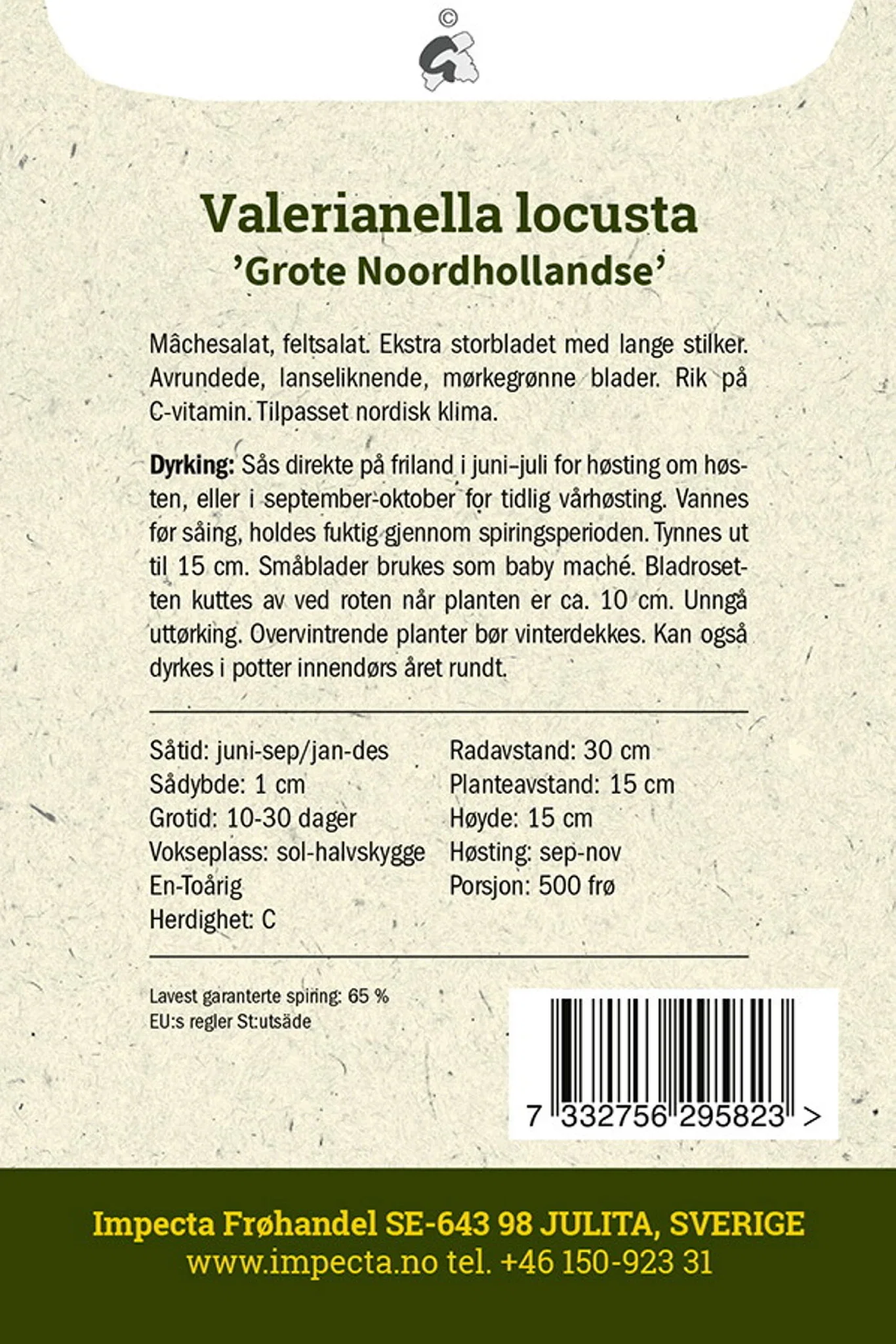 Valerianella locusta 'Grote Noordhollandse'
