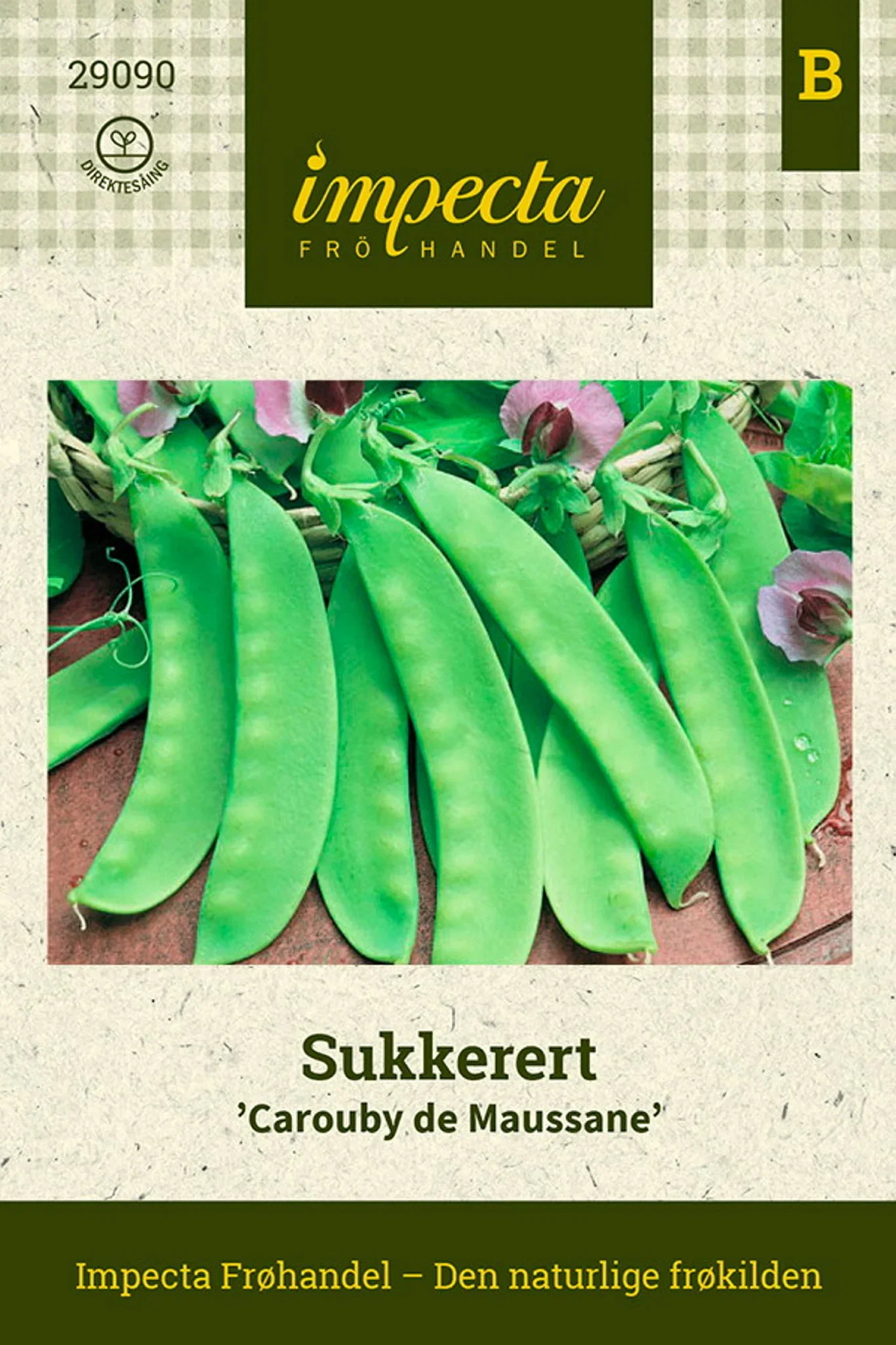 Sockerbeta 'Carouby De Maussane'