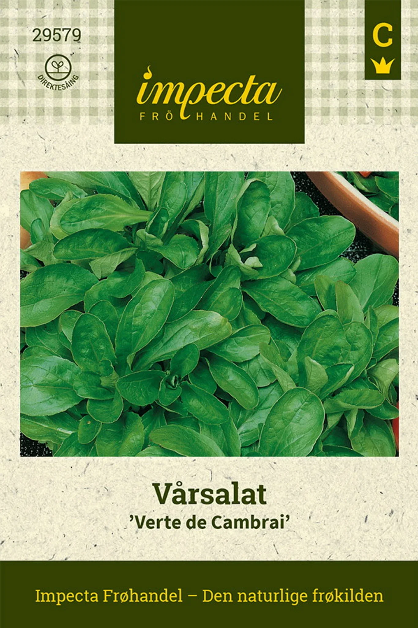 Vårsallat 'Verte de Cambrai'