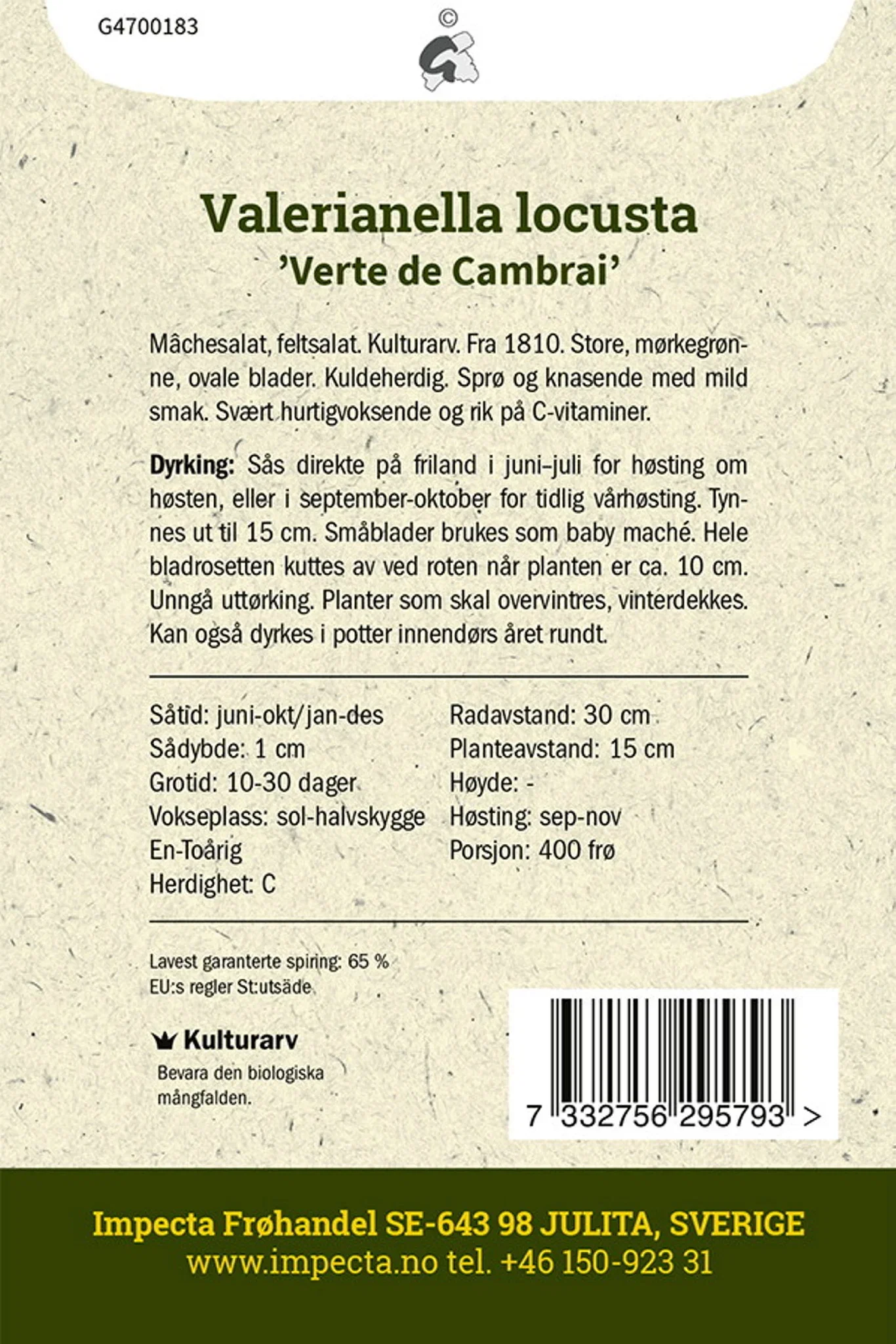 Vårsallat 'Verte de Cambrai'