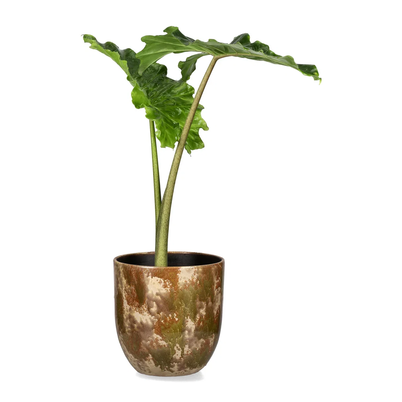 Aurelia pot D27 beige