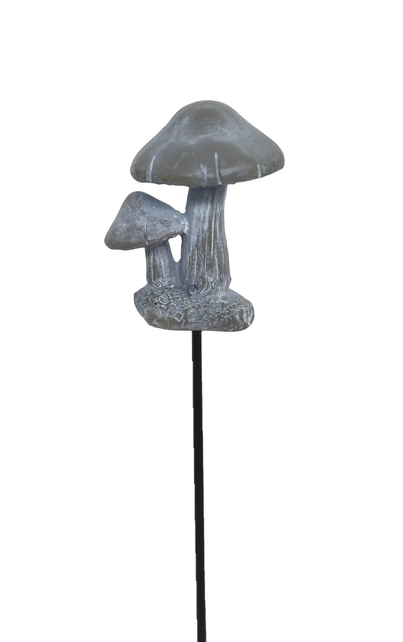 Dekorationspinne Svamp