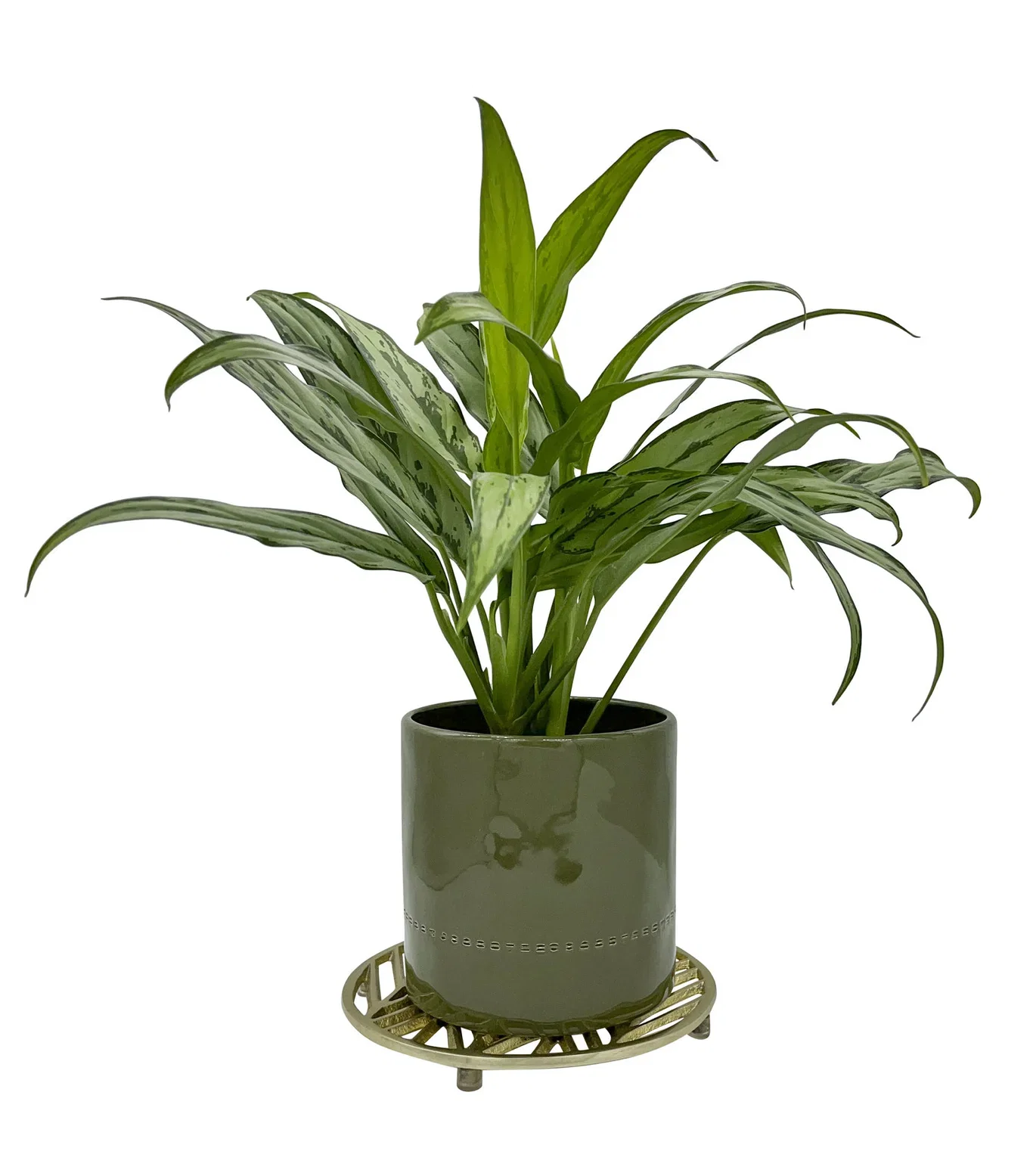 Edan coaster D20 gold