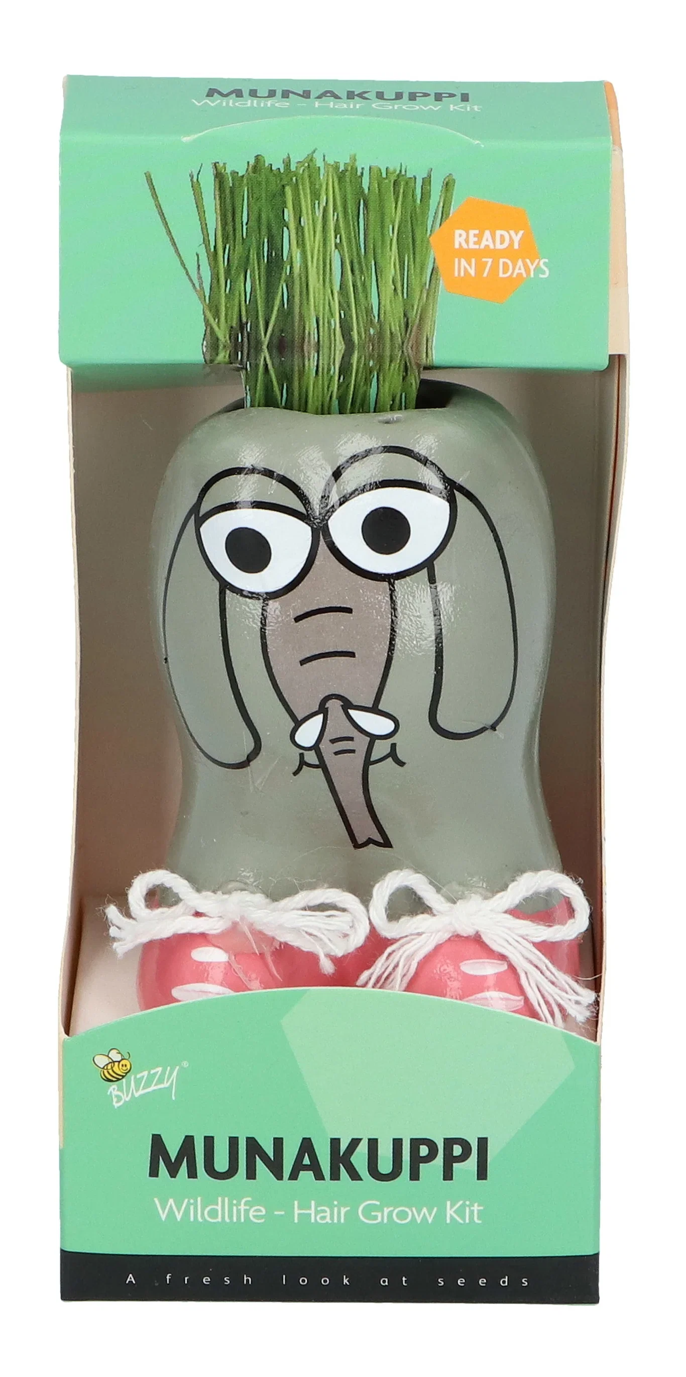 Liten kruka med prydnadsgräs Munakuppi Elefant