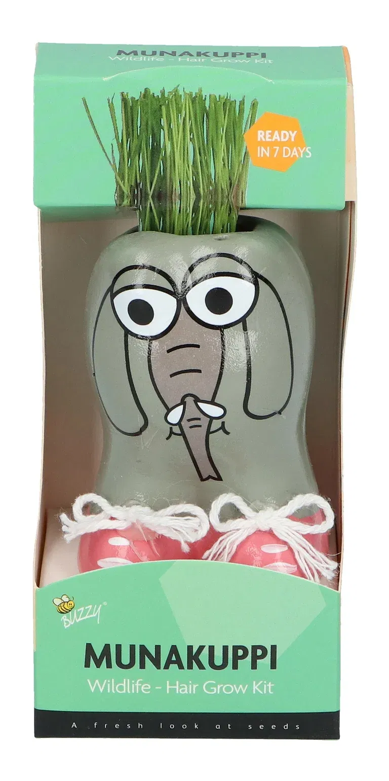 Liten kruka med prydnadsgräs Munakuppi Elefant